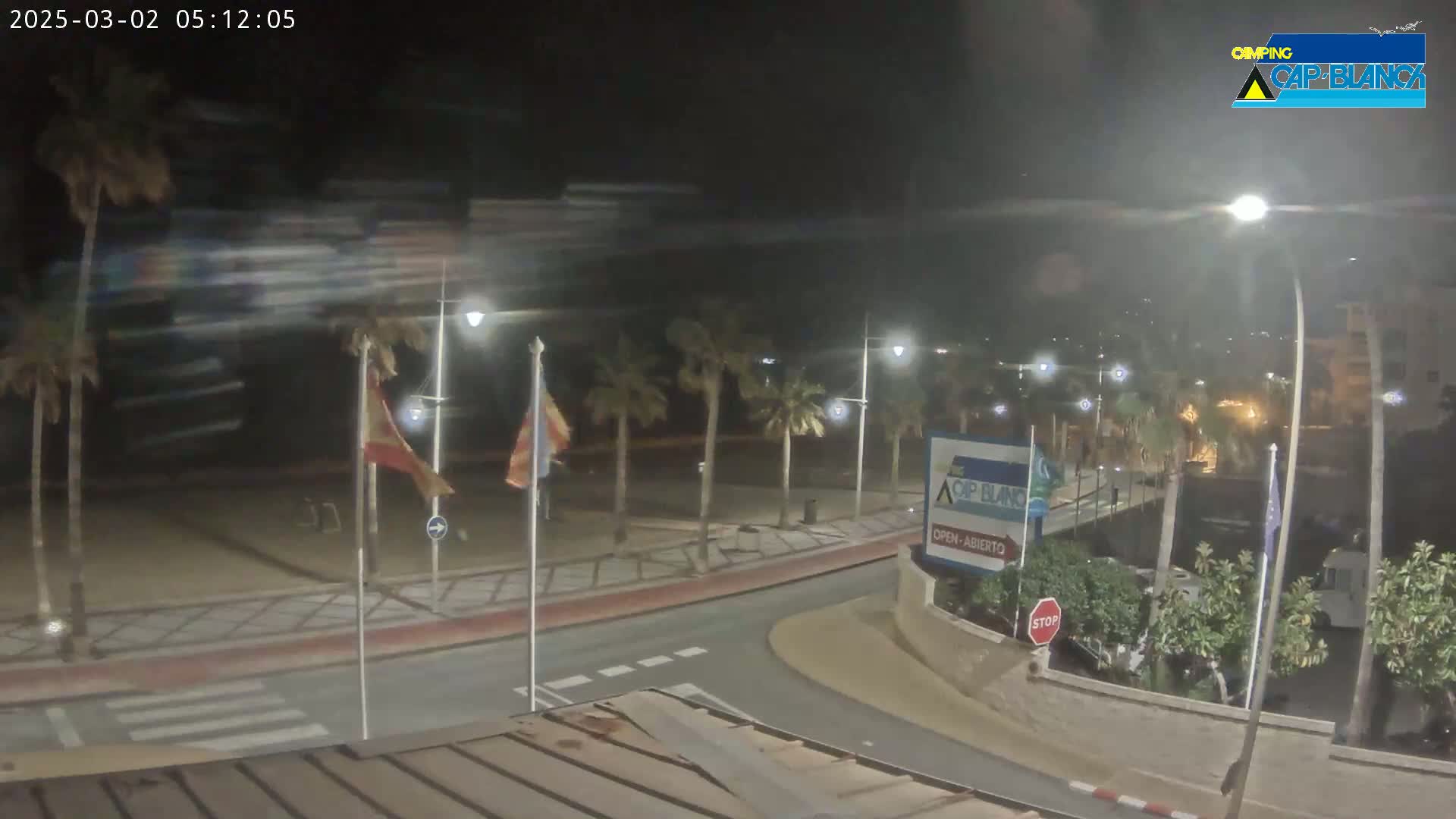 A nighttime, windy scene of a beachfront area with palm trees, streetlights, and a roadway curving around a building.