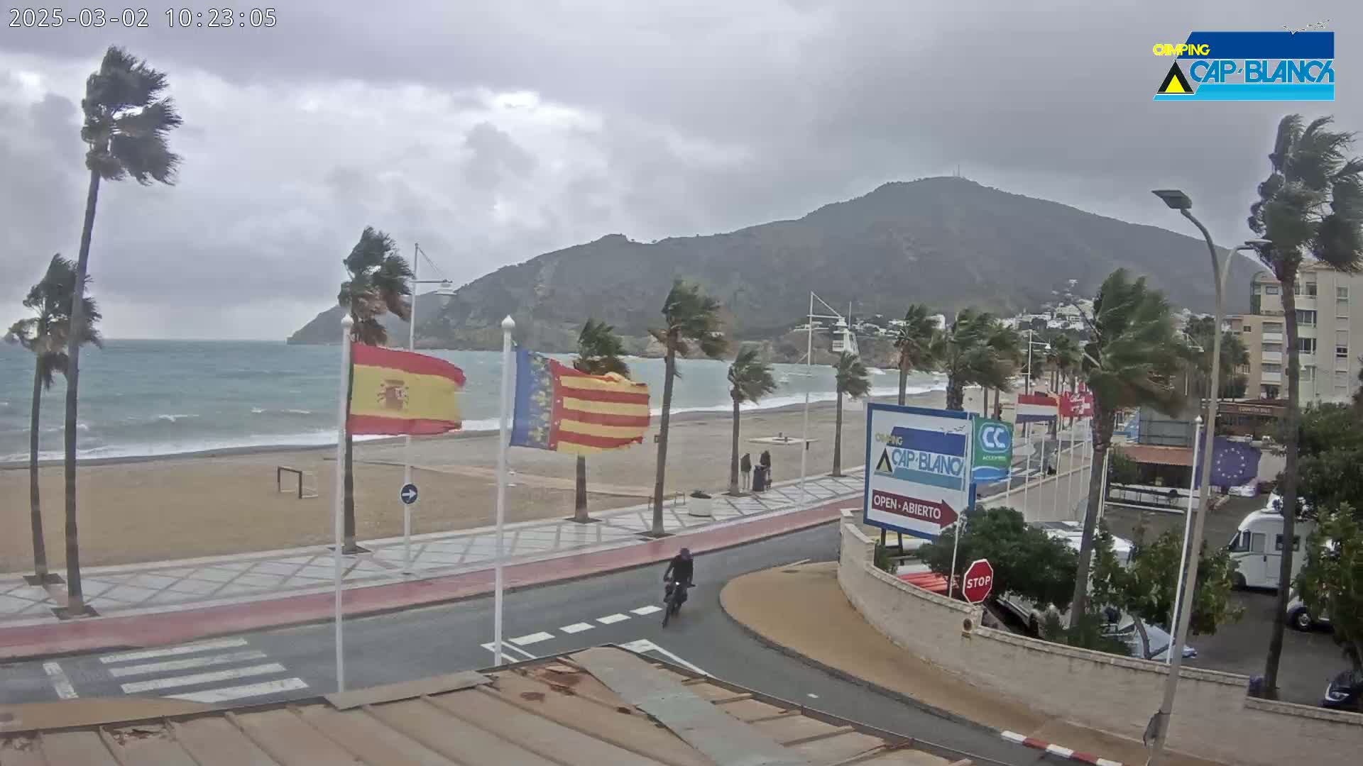 A windy, overcast day at a beach, with palm trees bending in the strong wind and waves crashing on the shore, near a coastal road with a cyclist and parked vehicles.