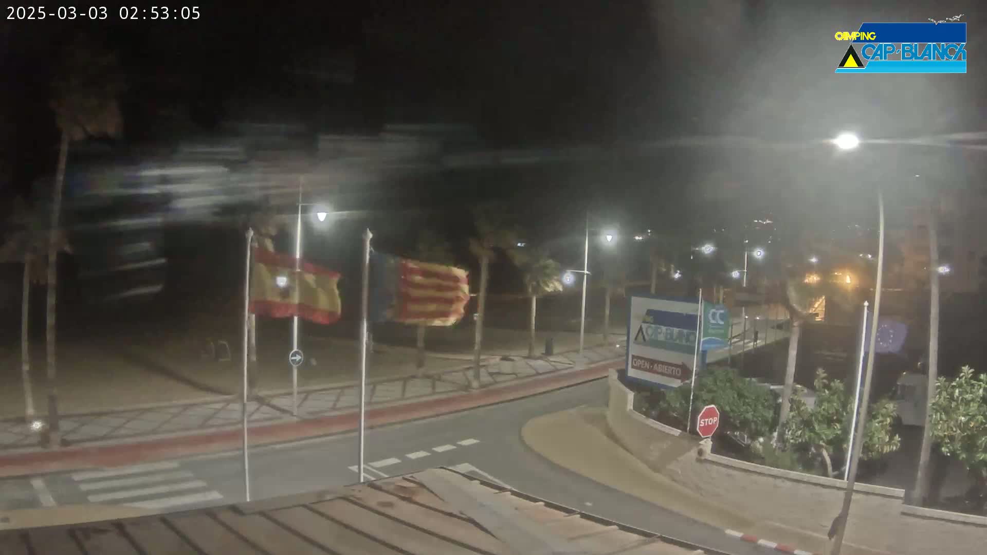 A windy nighttime scene shows a coastal road with flags waving vigorously, streetlights illuminating the area, and palm trees swaying in the wind.