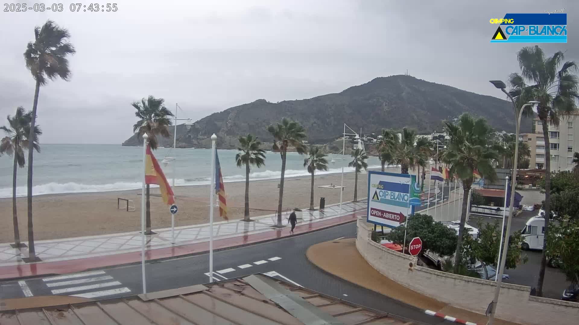 A person walks along a wet beachfront road lined with palm trees under an overcast sky, with waves breaking on a sandy beach and a mountain in the background.