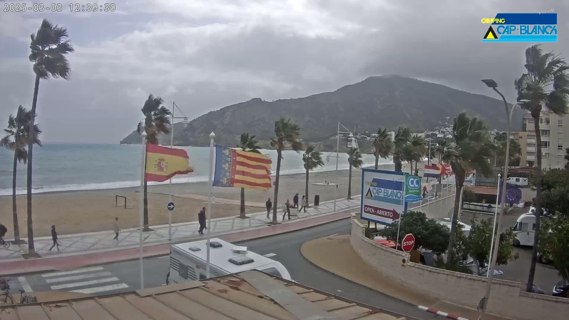 A windy, overcast day at a beachside promenade, with palm trees bending in the breeze, a sandy beach, and a mountain in the background.