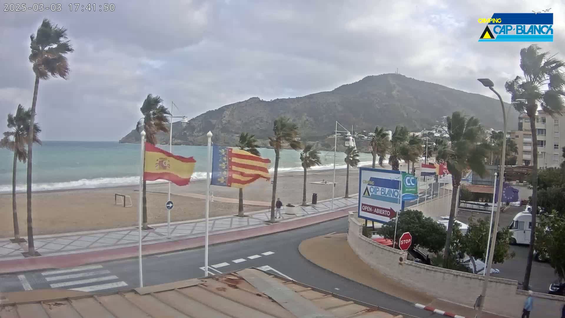 A windy, overcast day shows a beach with palm trees bending in the wind, a sandy shore with some waves, and a roadway leading to buildings near a mountain.