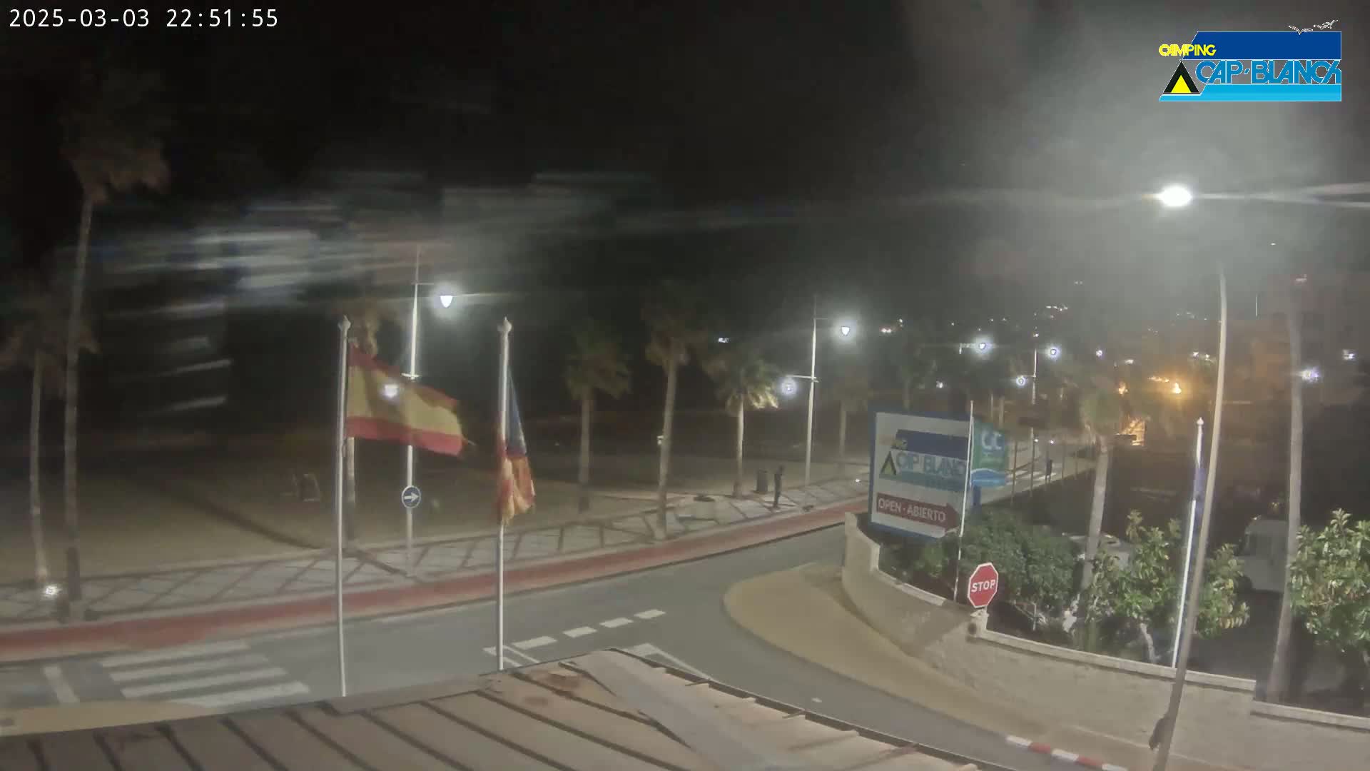 A nighttime view of a palm tree-lined roadway curving near a beach, with windy conditions evident in blurred palm fronds.