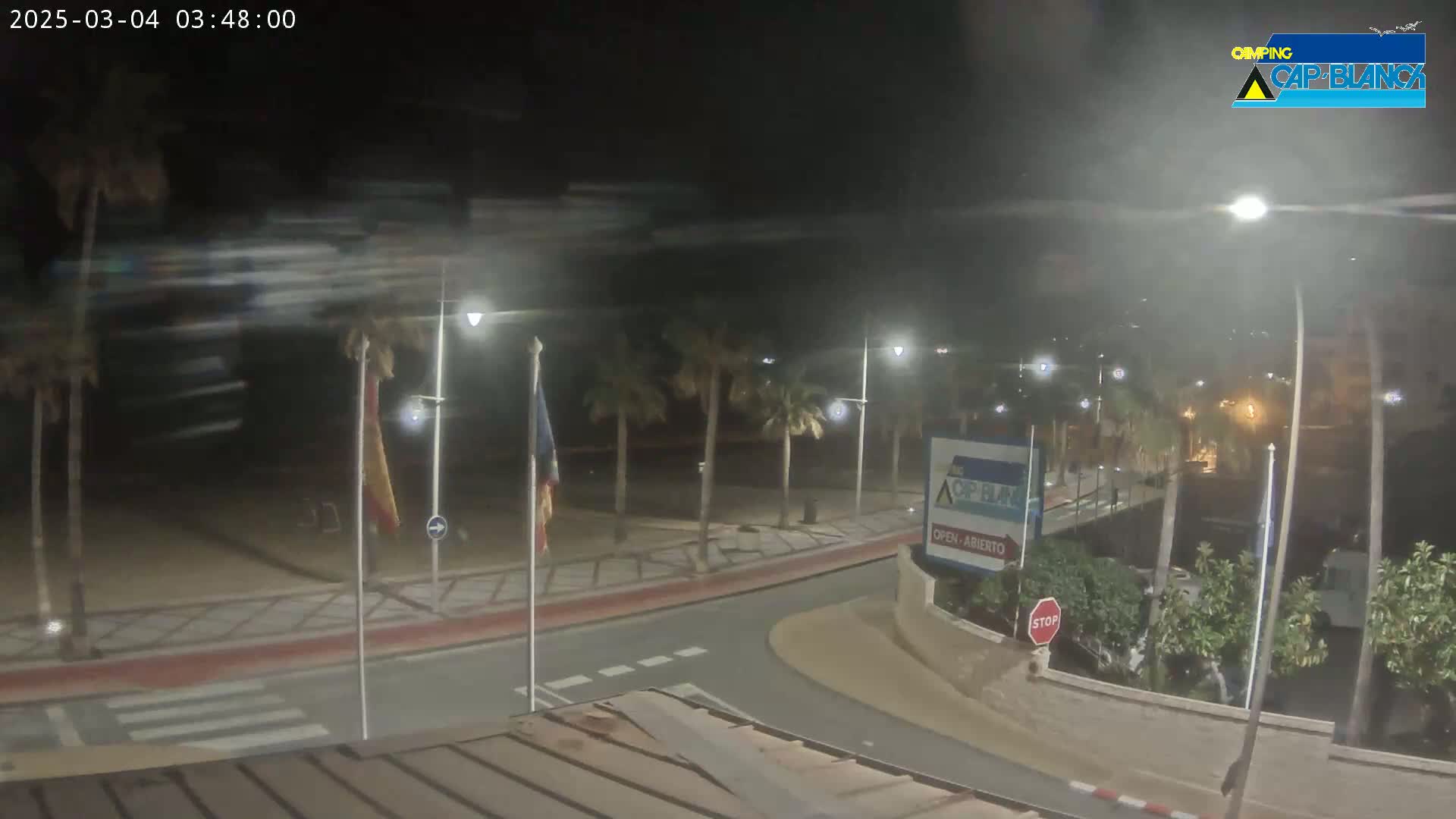 A nighttime, outdoor view of a palm-tree-lined street curving toward a beach, with streetlights illuminating the scene under slightly hazy conditions.