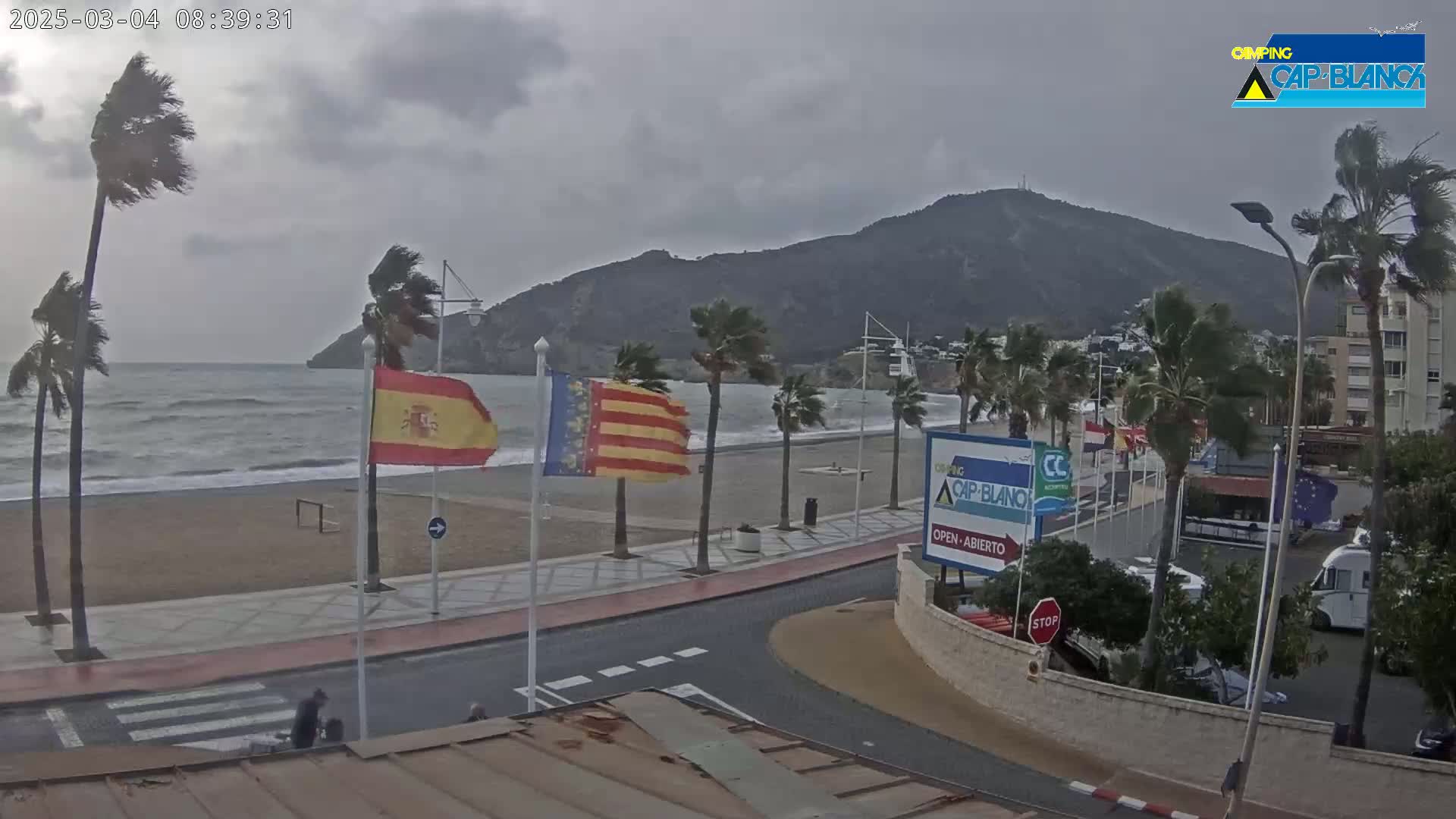 A windy, overcast day at a beachside promenade shows palm trees bending in the wind, waves crashing on the shore, and Spanish flags waving near a road.