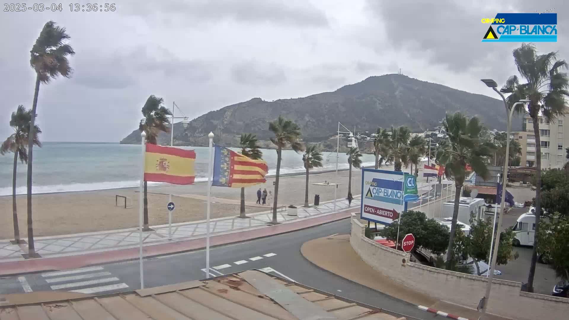 A windy, overcast day at a beach with palm trees, a sandy shore, and a mountain in the background.