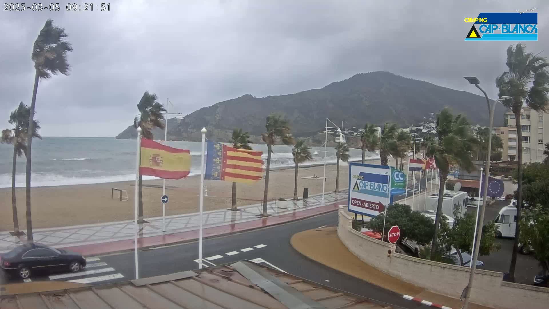 A windy, overcast day at a beach shows palm trees bending in the wind, choppy waves, and a road leading to a parking lot with RVs.
