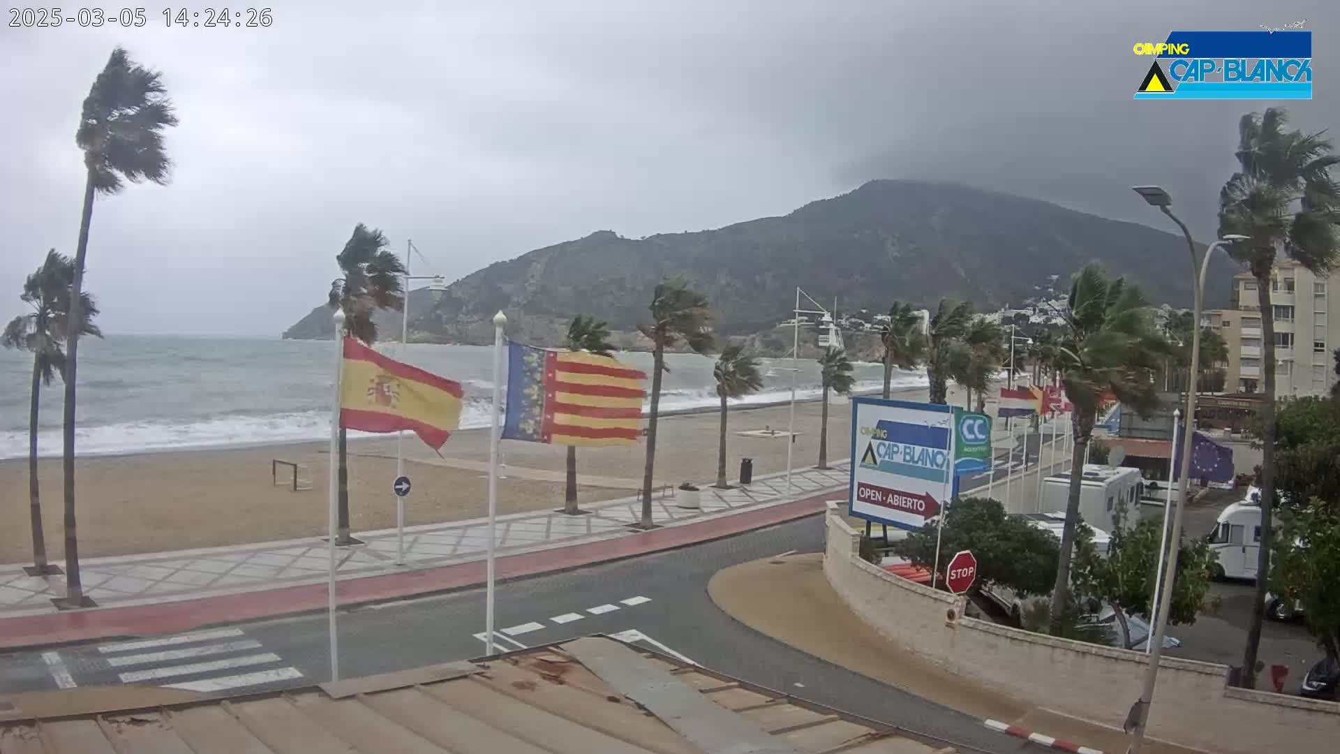 A windy, overcast day at a beachside promenade, with palm trees bending in the strong wind and waves crashing on the shore.