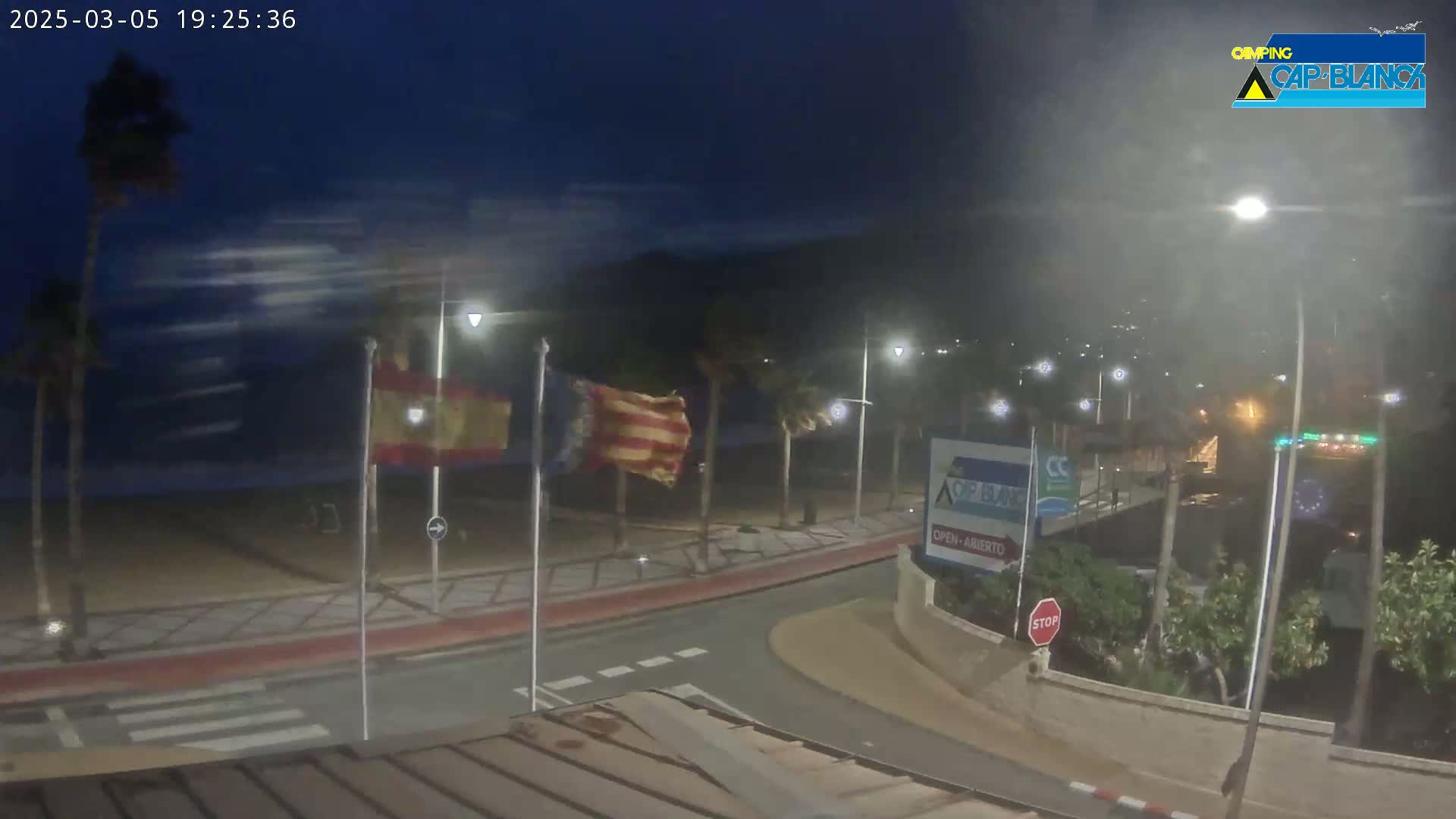 A windy night scene shows a coastal road with palm trees and flags blowing in the wind, overlooking a dark beach under streetlights.