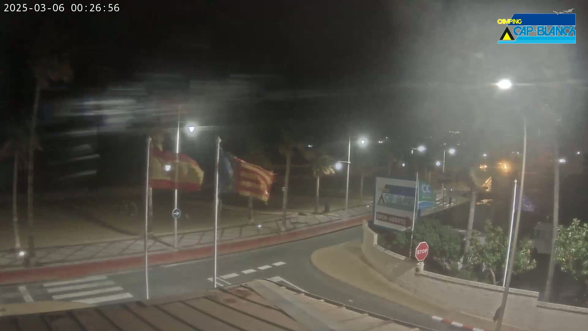 A nighttime, windy scene shows a beachfront road with flags waving and palm trees swaying under hazy, dark conditions.