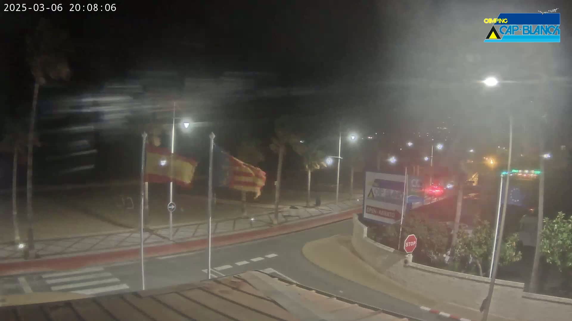 A nighttime, windy scene shows a street intersection with flags blowing in the wind, streetlights, and some palm trees.
