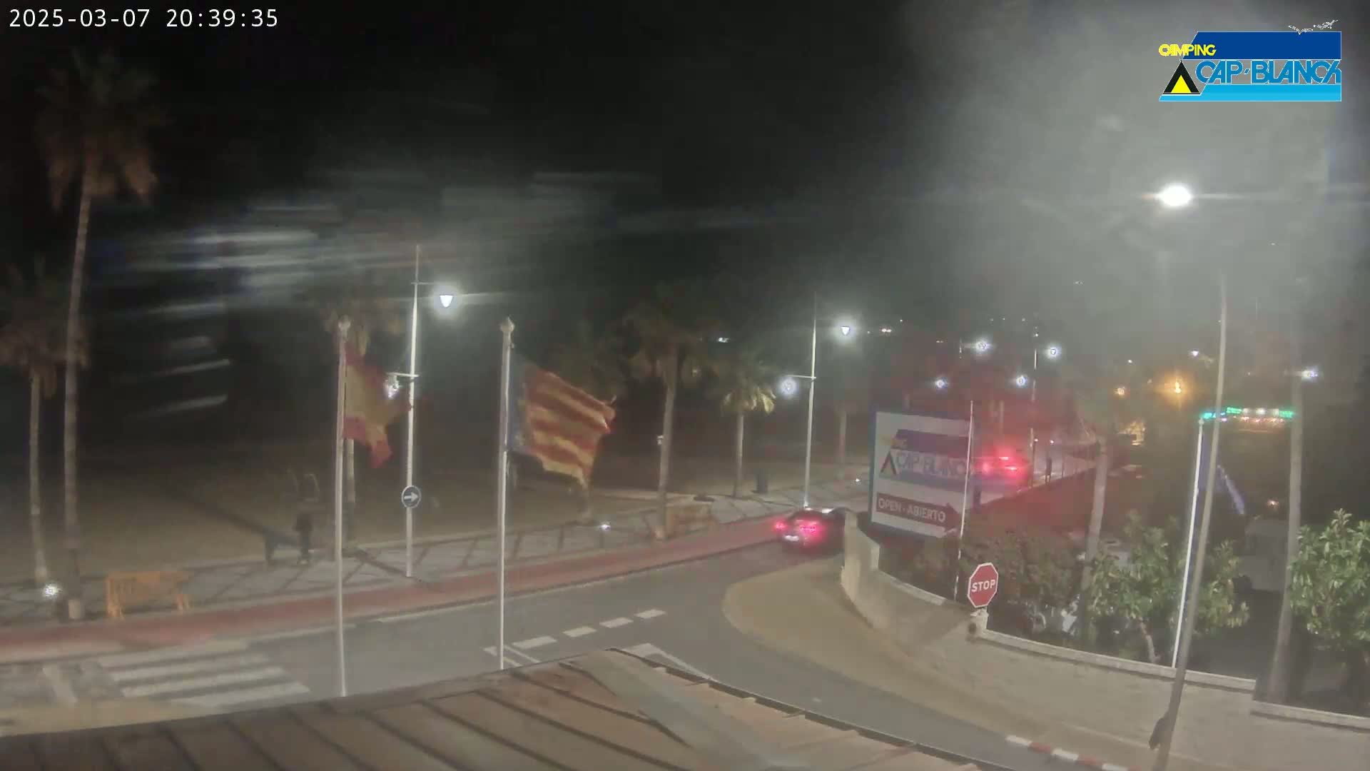 A nighttime, hazy view of a beachside road with palm trees, streetlights, and a car, with a flag waving in the wind.