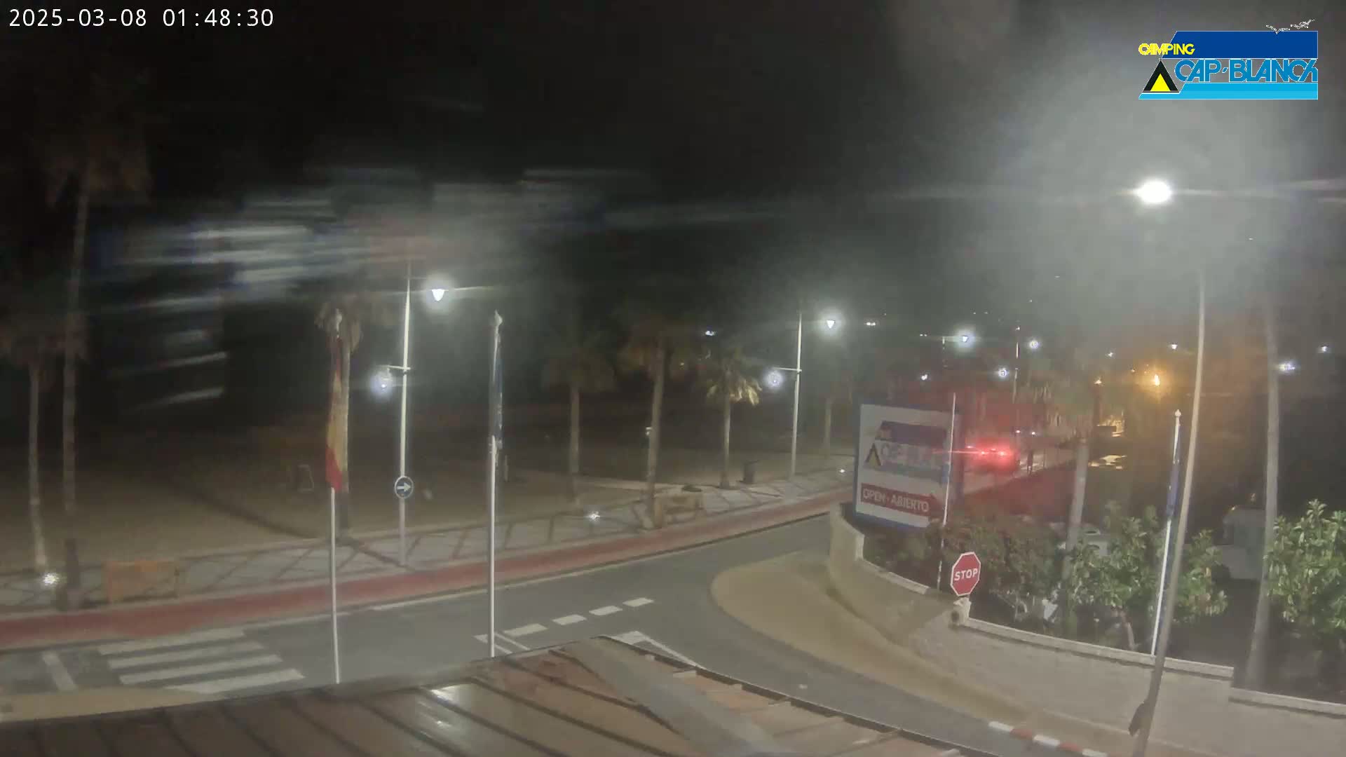 A nighttime, windy scene shows a road curving past palm trees and a beach, with hazy streetlights illuminating the area.