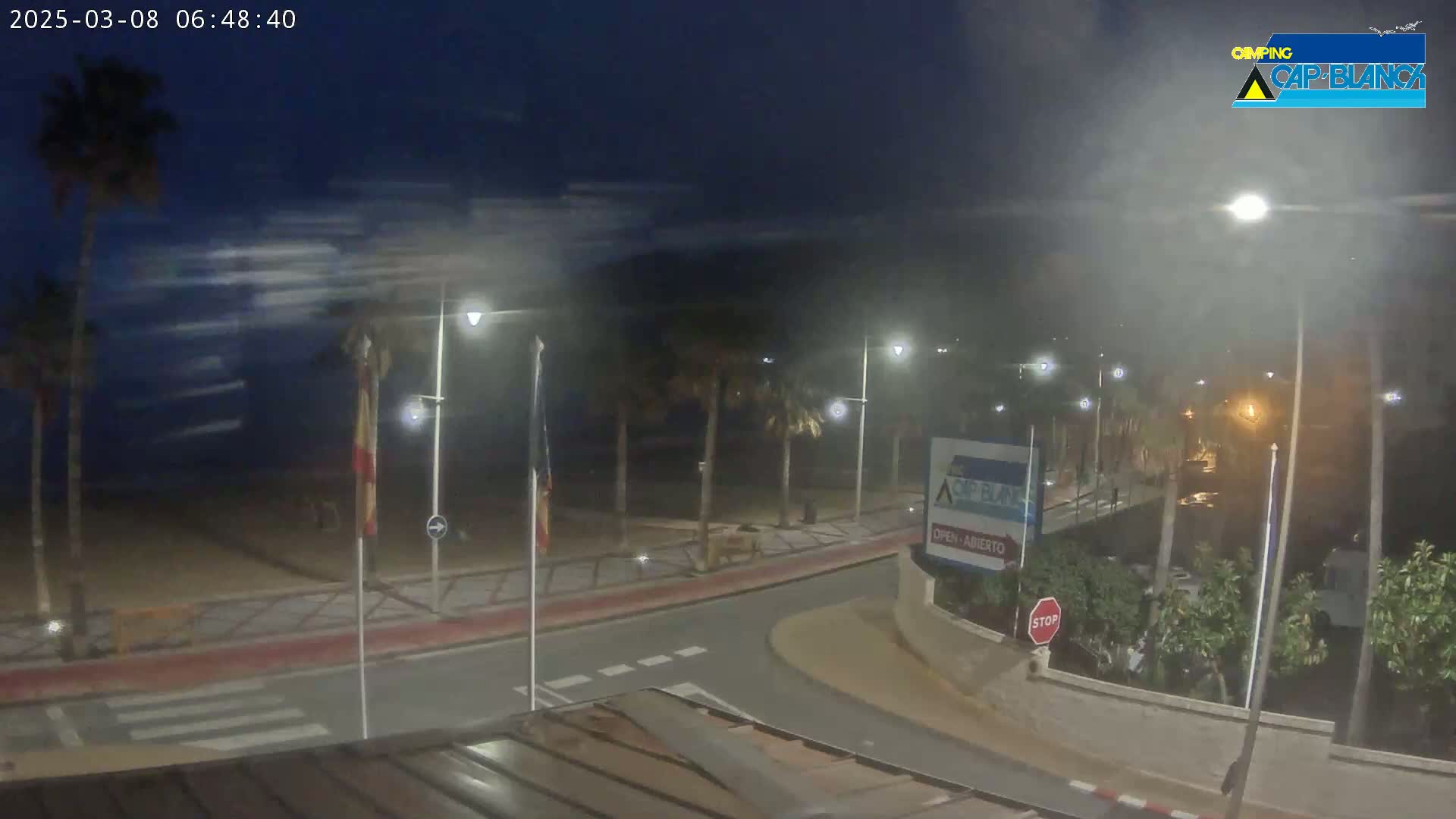 A nighttime view of a palm tree-lined beachside road, with windy conditions and a dark, cloudy sky.