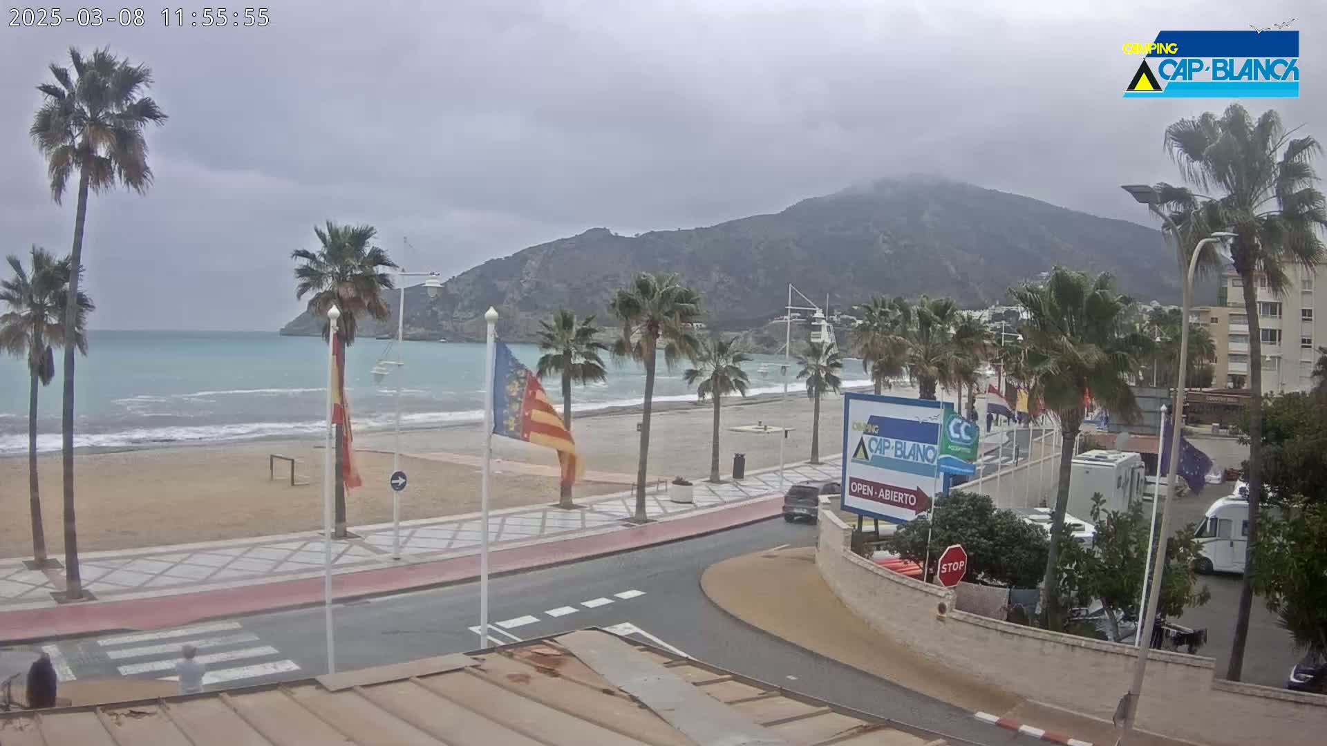 A sandy beach with palm trees and a calm sea is seen under an overcast sky, with a mountain in the background and a road leading to a parking area.