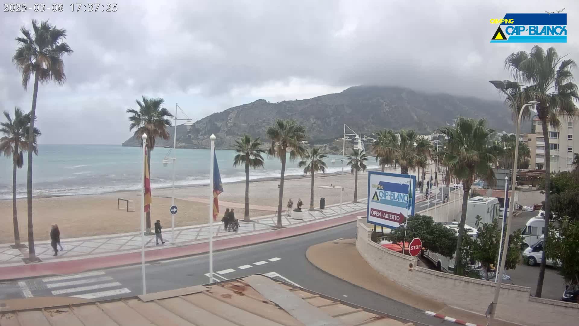 A sandy beach with palm trees lines a paved walkway next to a calm ocean under an overcast sky, with mountains in the background.