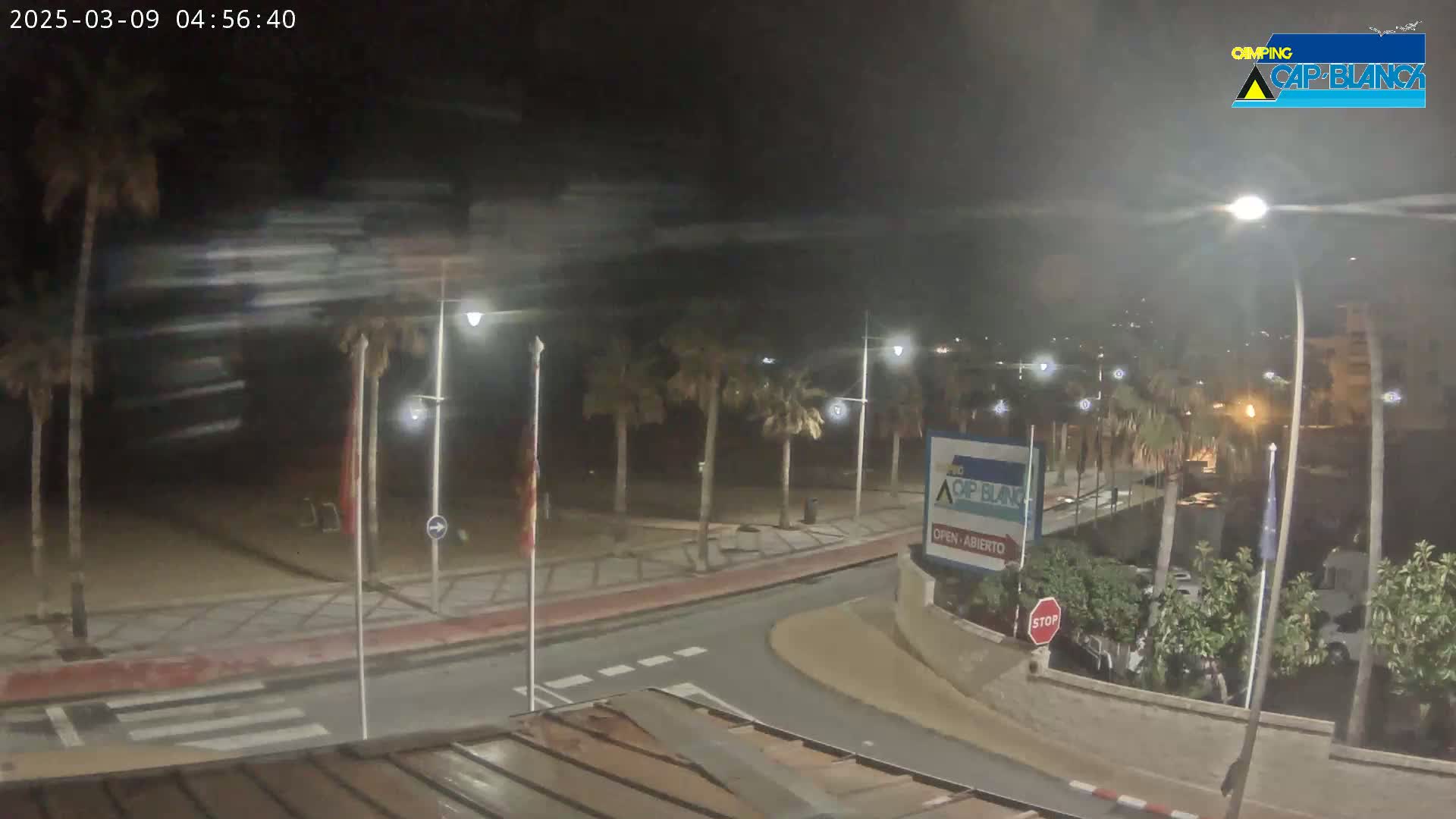 A nighttime, windy scene shows a palm-tree-lined street curving toward a beach, with cars parked near buildings and streetlights illuminating the area.