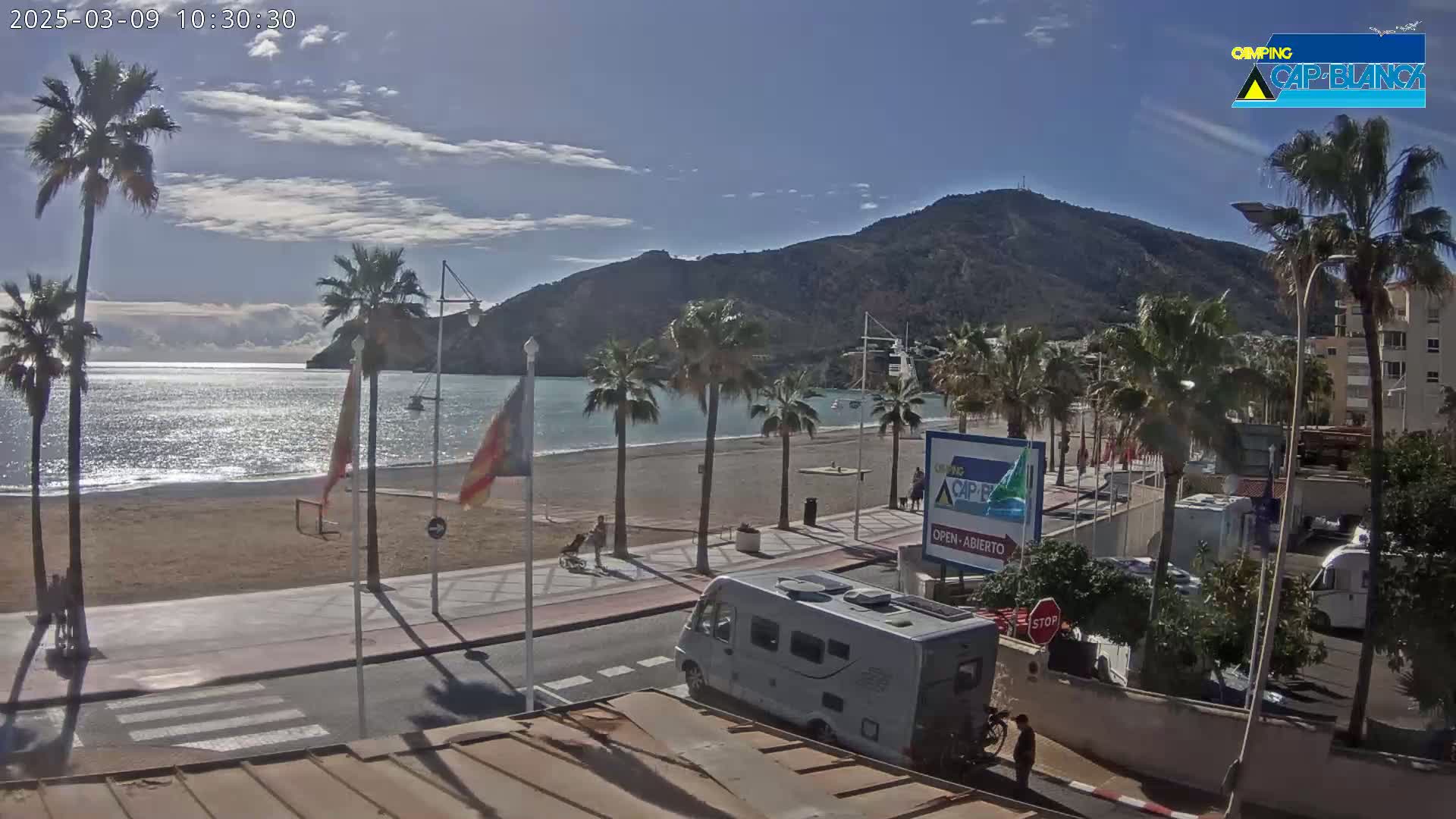 A beach with palm trees, a calm sea, and mountains in the background under a partly cloudy sky.