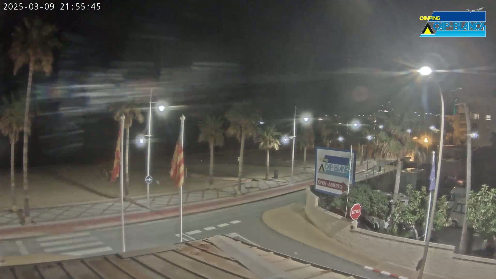 A nighttime view of a palm-tree lined beachfront promenade with streetlights illuminating a mostly empty road and parking area.