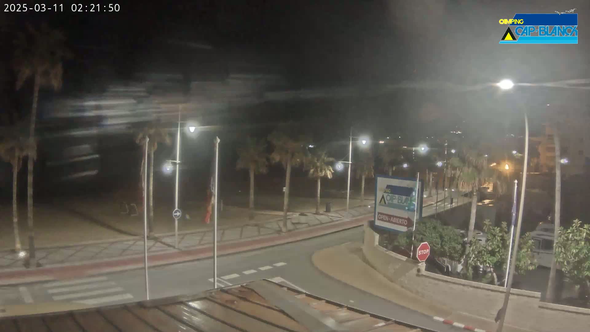 A nighttime, windy scene shows a palm-tree-lined roadway curving toward a beach with streetlights illuminating the area.