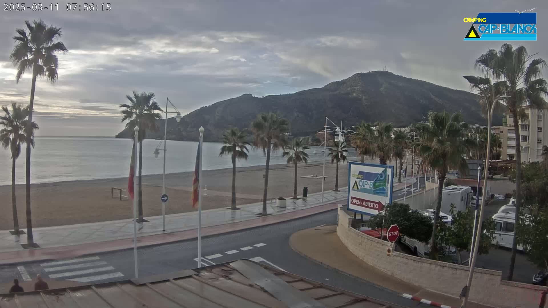 A sandy beach with palm trees lines a calm ocean, under a mostly cloudy sky, with a mountain visible in the background.