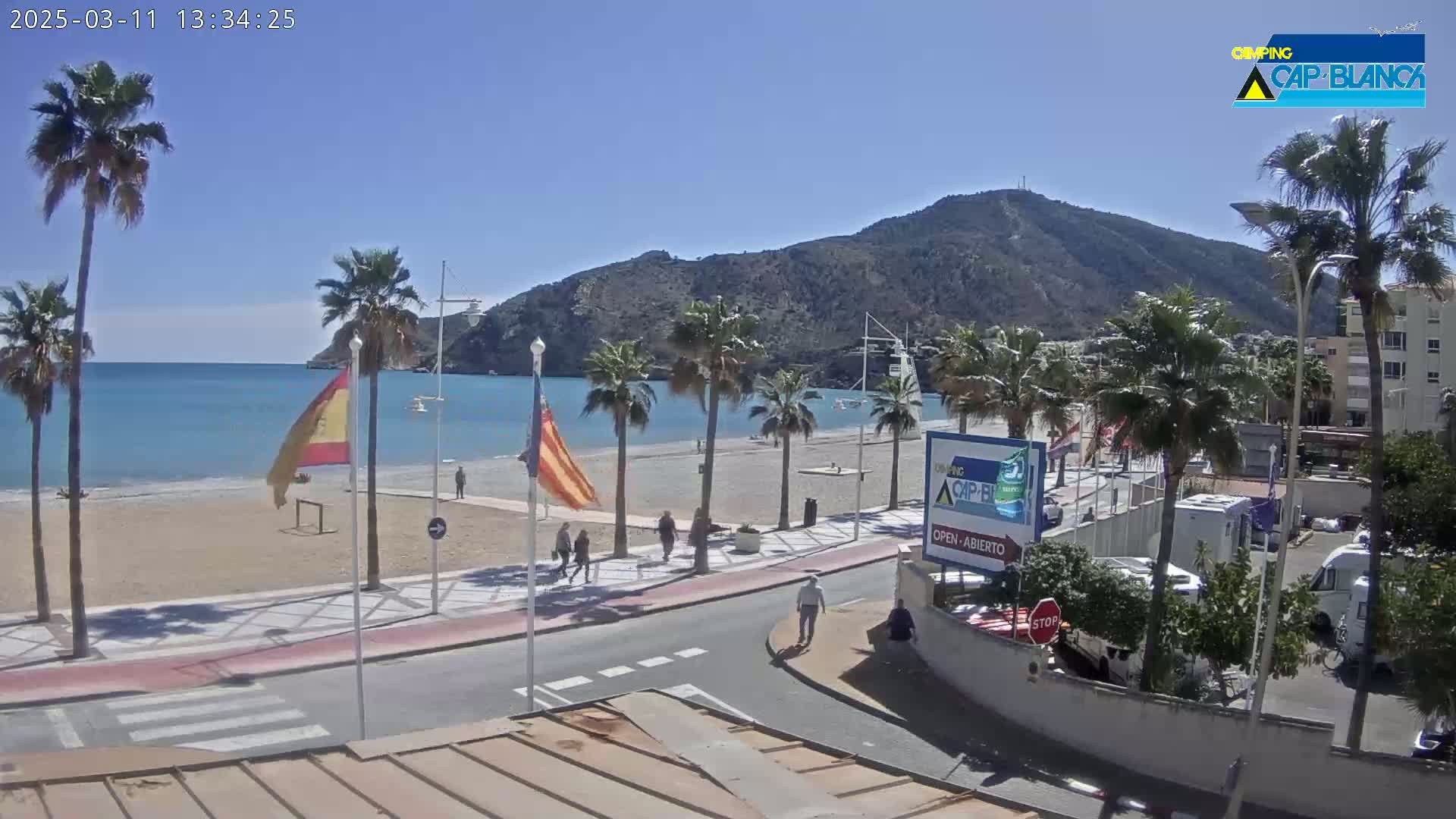 A sunny beach scene with palm trees, a calm sea, and a mountain in the background, viewed from a street overlooking the beach.