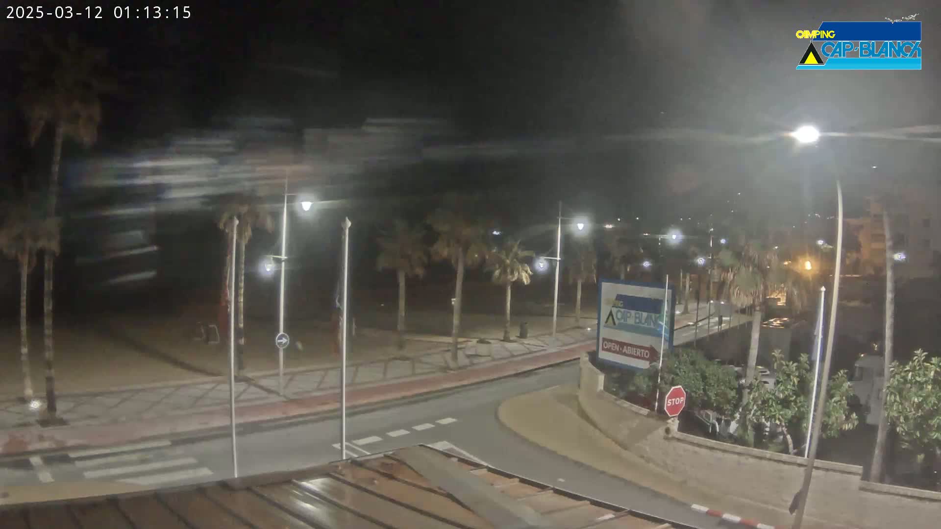 A nighttime, windy scene shows a palm-tree-lined street curving toward a beach, with streetlights illuminating the roadway and a stop sign visible.