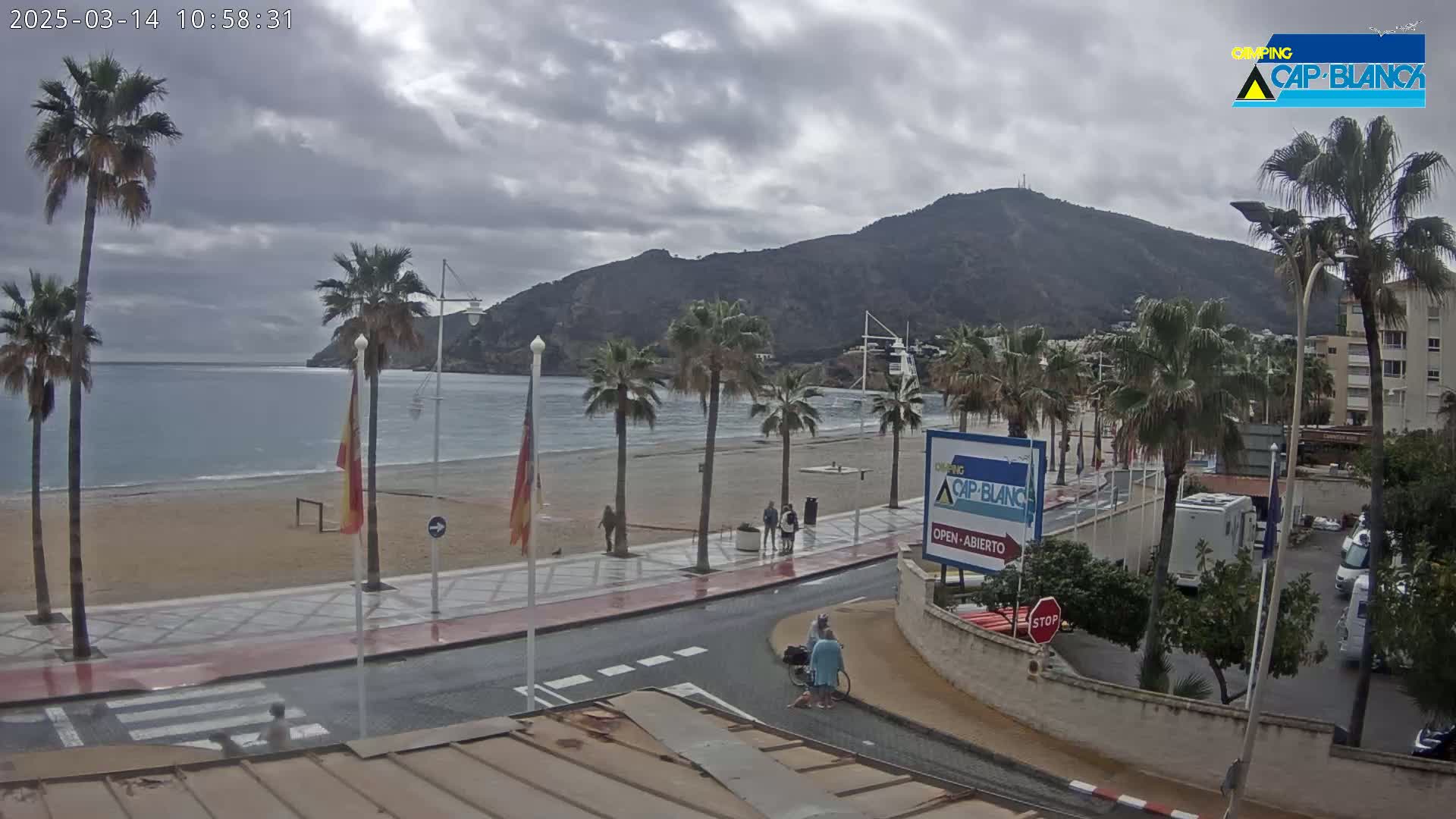 A beach scene on an overcast day shows a sandy beach lined with palm trees, a calm sea, and a mountain in the background.