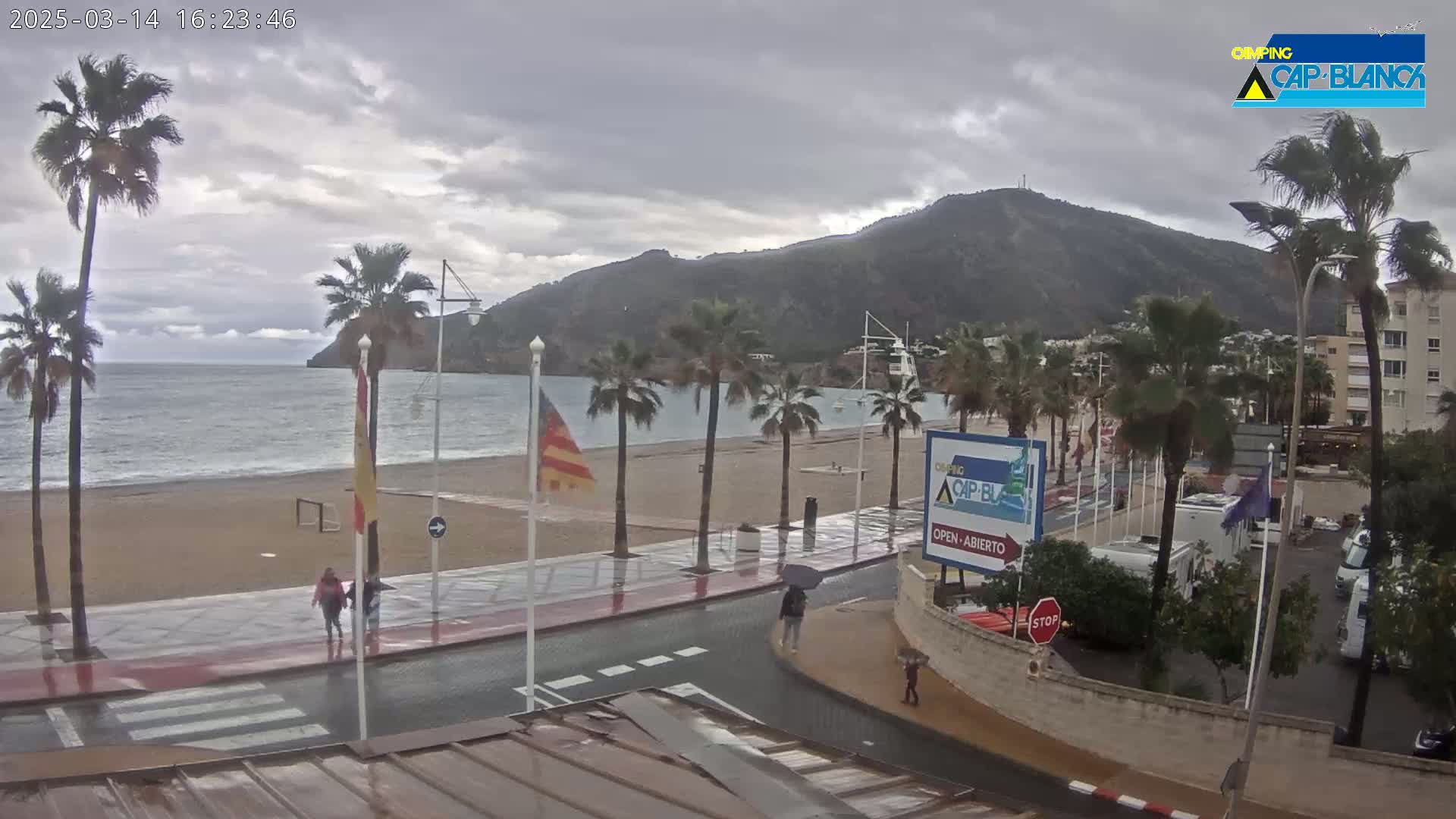 A wet beach scene shows palm trees lining a paved walkway next to a sandy beach and calm ocean, with a mountain in the background under an overcast sky.