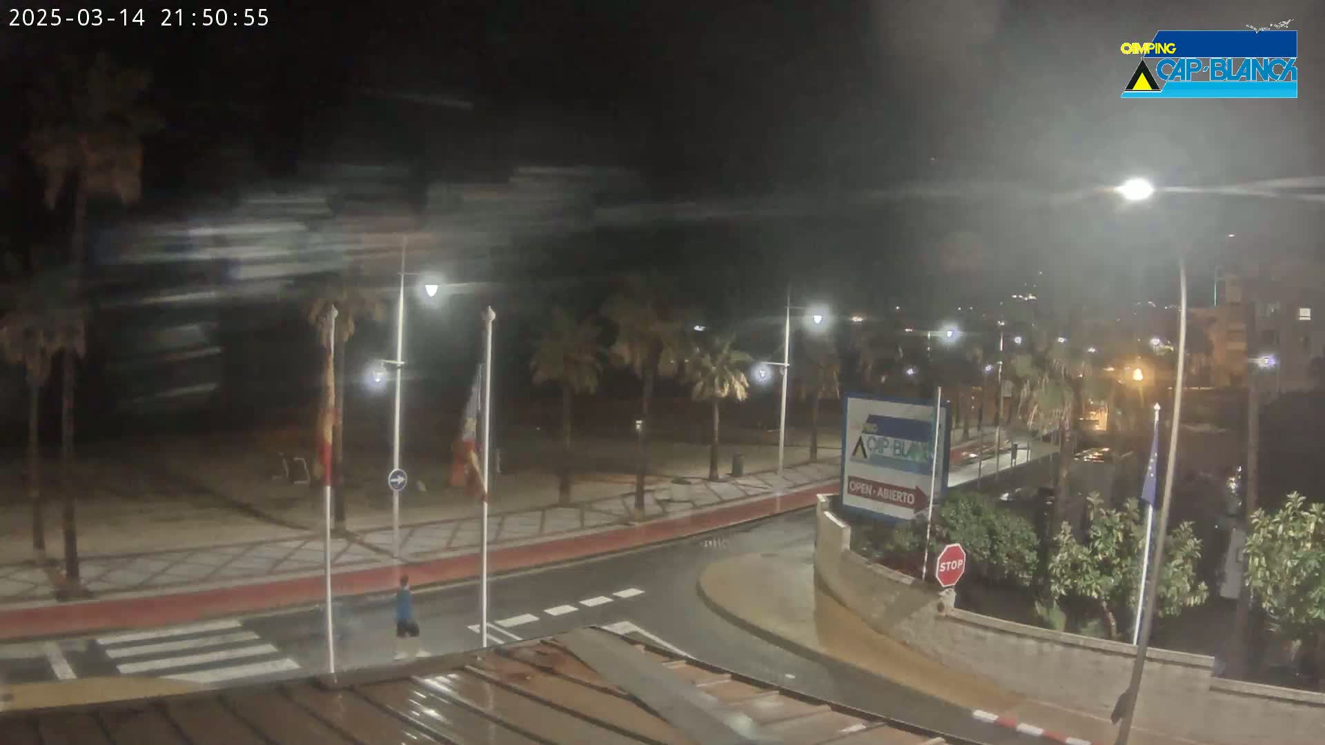 A nighttime, windy scene shows a palm-lined roadway curving towards a building, with a person walking on the crosswalk and rain-slicked surfaces.