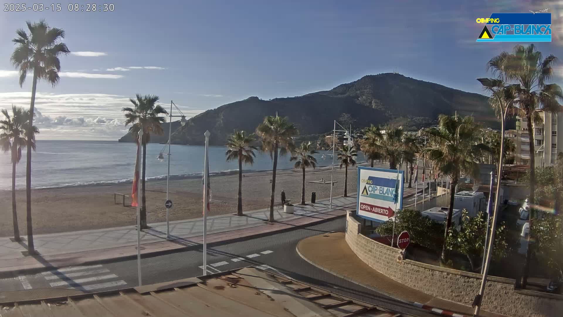 A sandy beach with palm trees lines a paved walkway beside calm ocean water under a mostly clear sky, with a mountain in the background.