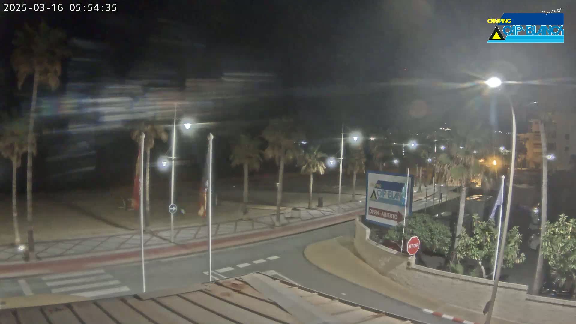 A nighttime, blurry view of a palm-tree lined roadway and beach, with streetlights illuminating the scene under hazy conditions.