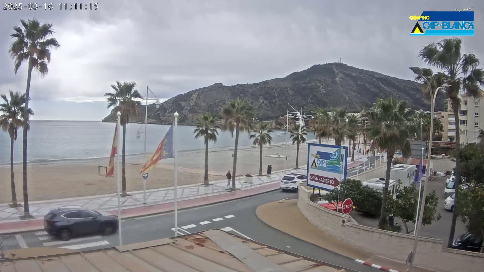A seaside town scene on an overcast day shows a sandy beach, palm trees lining a paved walkway next to a road, cars parked nearby, and a hill rising in the background.