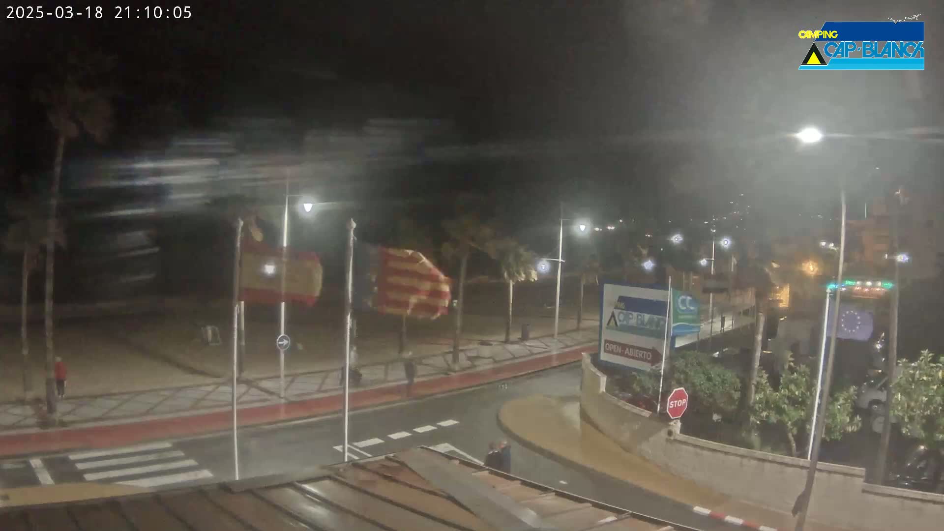 A windy night scene shows a street with flags blowing in the wind, palm trees, and streetlights illuminating a mostly empty road.