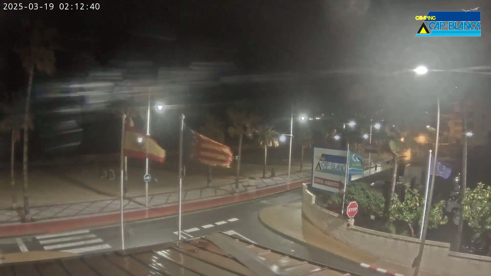 A nighttime, rain-swept street scene shows flags blowing in the wind, palm trees, and wet pavement.