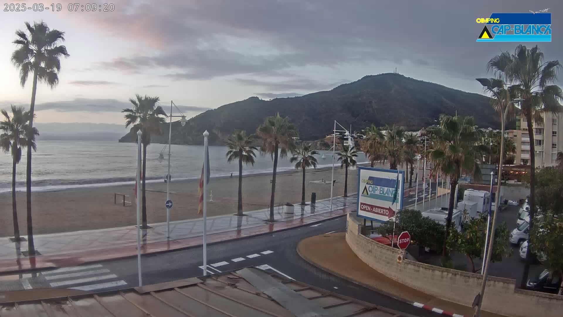 A beach with palm trees and a calm sea is viewed from an elevated position on an overcast morning.