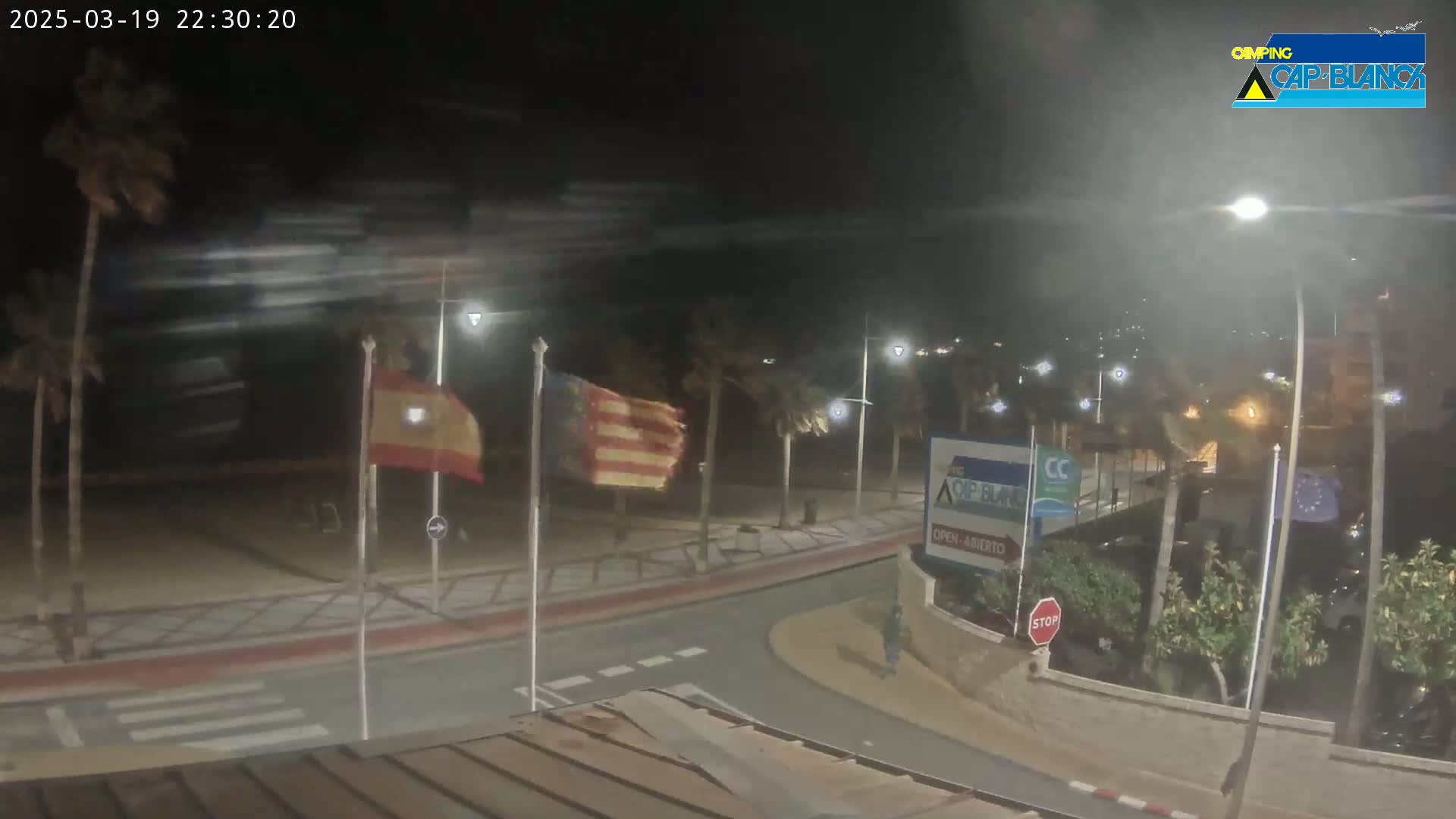 At night, under windy conditions, Spanish and Catalan flags wave near a beachside roadway with palm trees and streetlights.