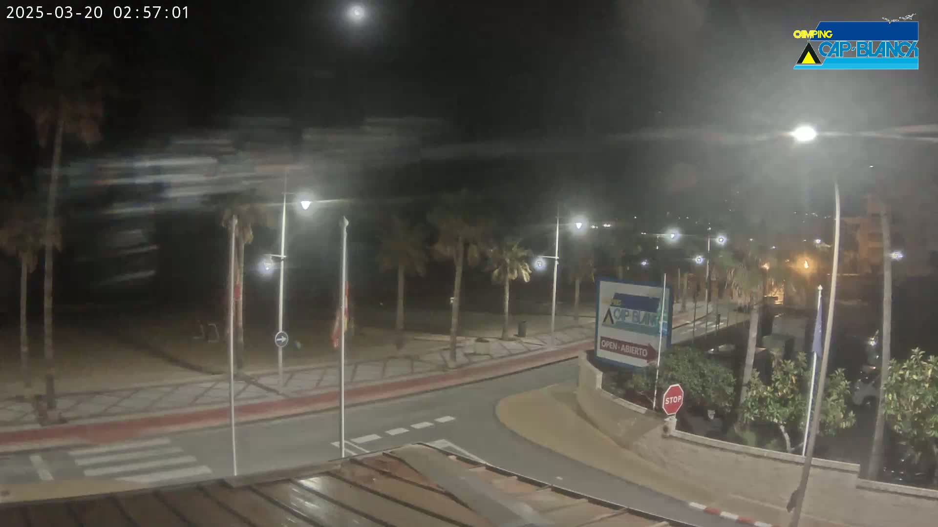 A nighttime, slightly hazy view of a palm tree-lined beachfront road curving toward a beach, with streetlights illuminating the scene.