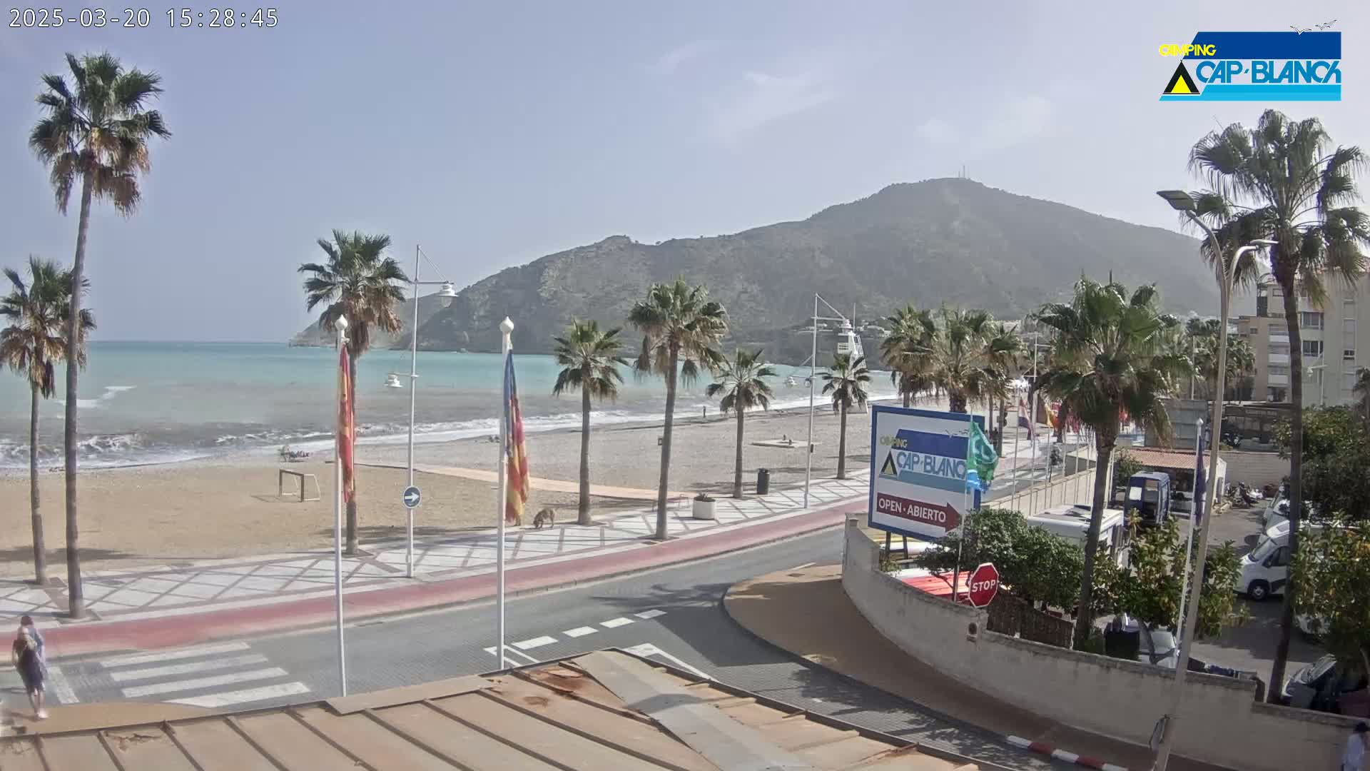 A sandy beach with palm trees and a calm sea is seen beneath a clear sky and a large hill in the background.