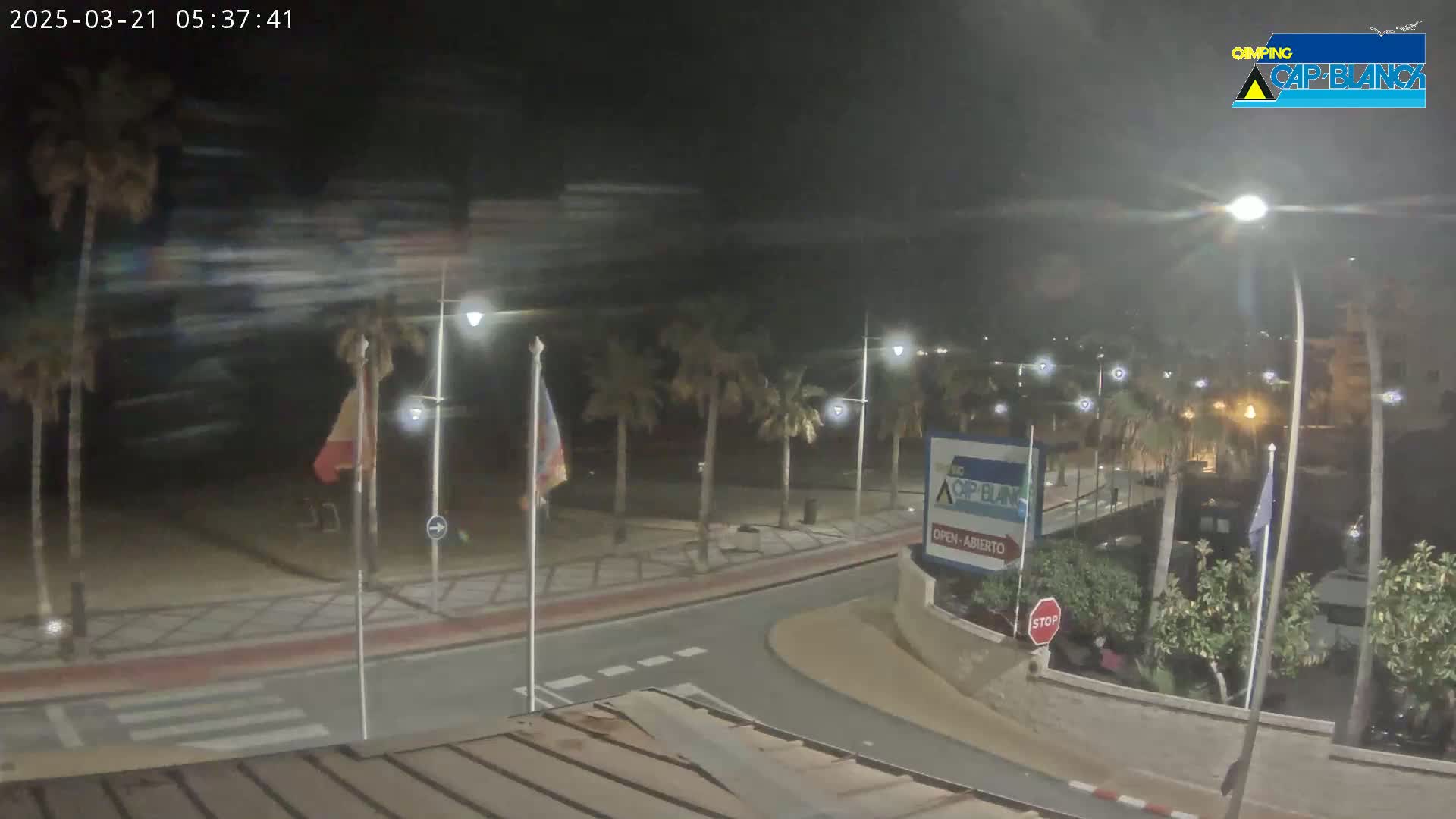 A nighttime, windy scene shows a palm tree-lined roadway curving toward a building, with a beach visible in the background.