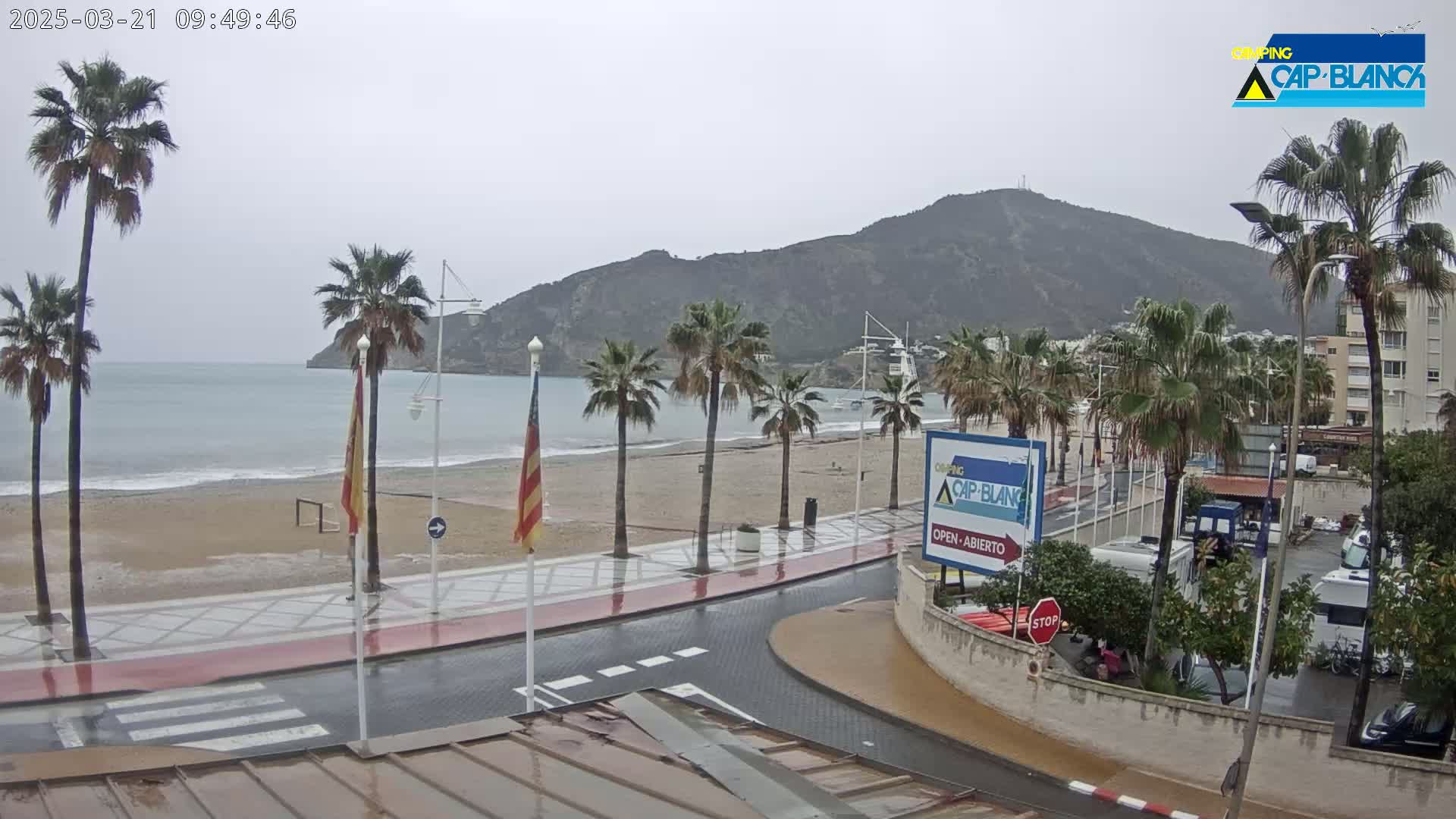 A wet beach with palm trees and a mountain in the background under an overcast sky.