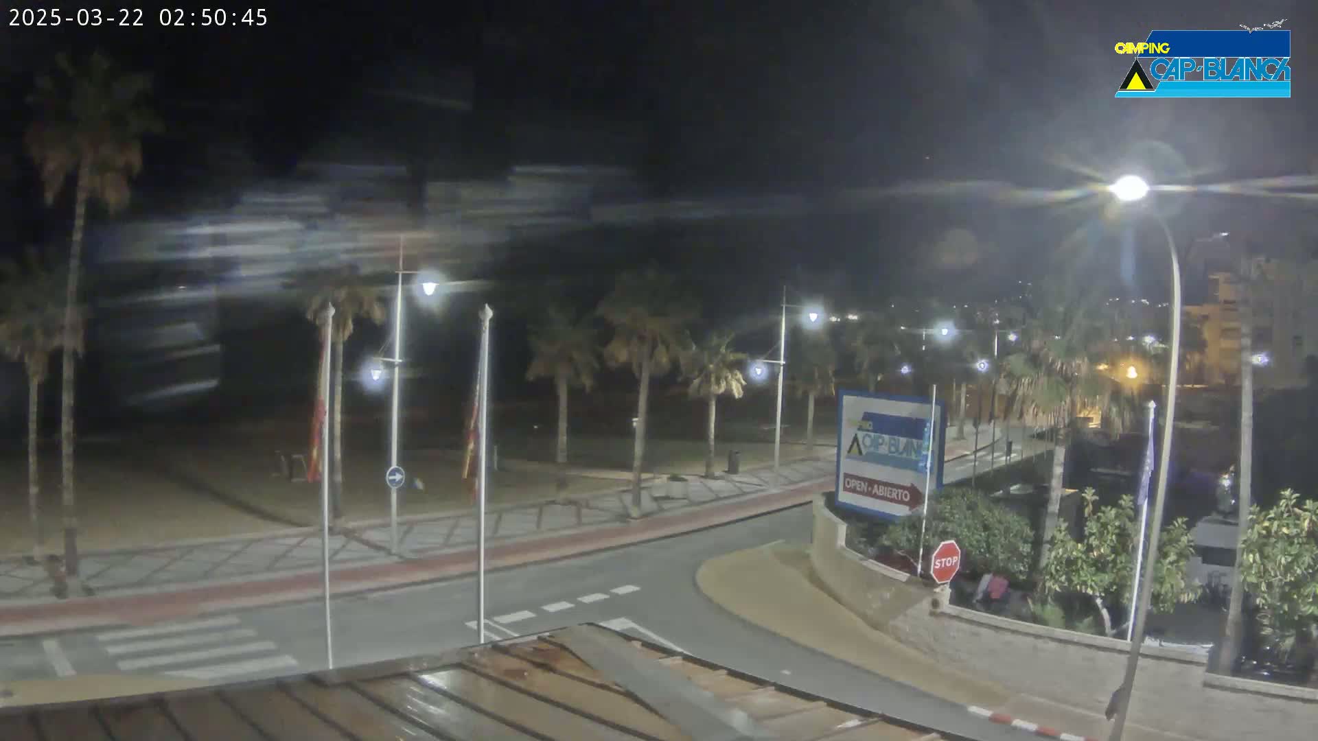 A nighttime, windy scene shows a paved road curving through a palm tree-lined area near a beach, with streetlights illuminating the scene.