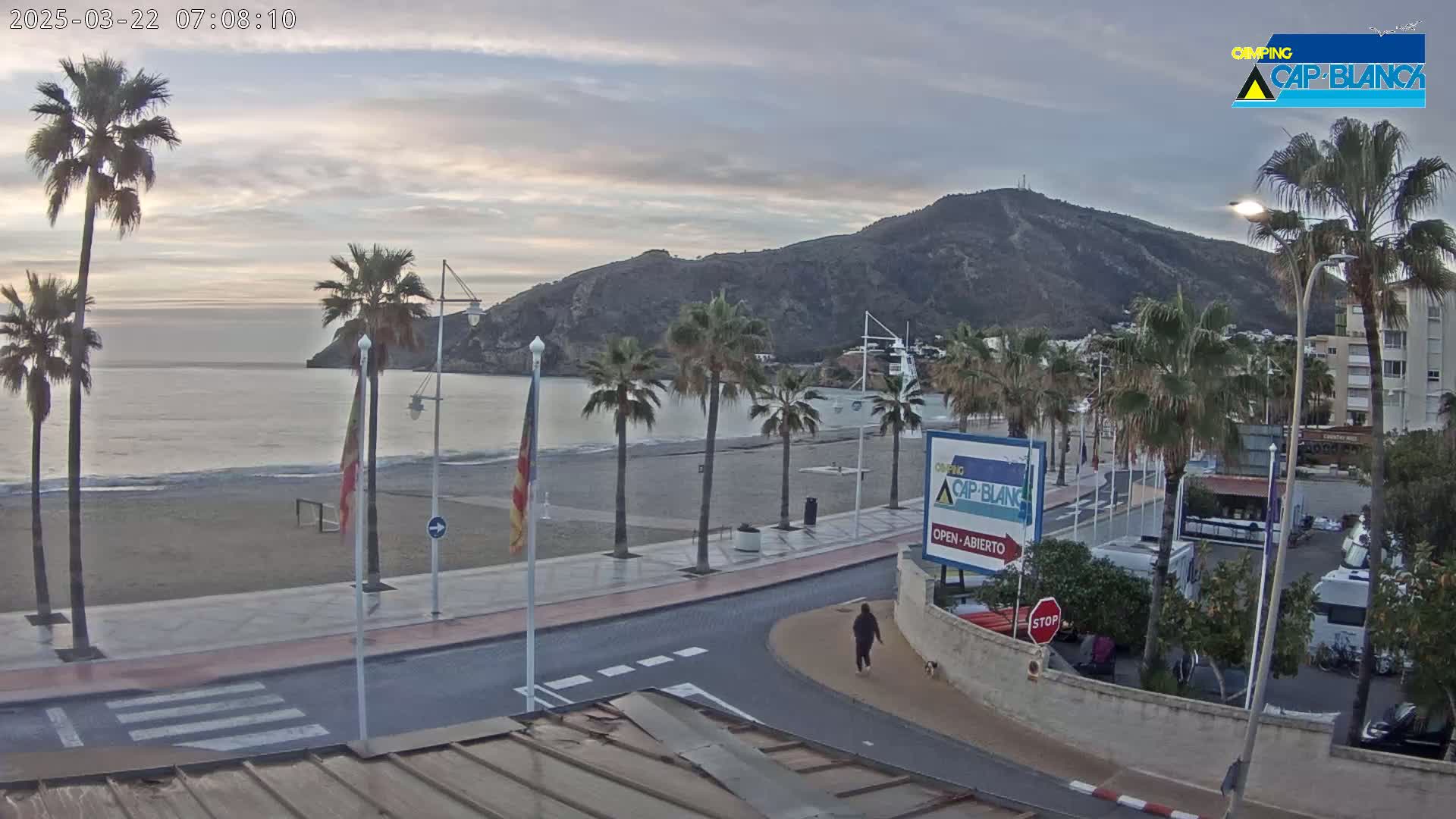 A seaside town with palm trees lines a paved road leading to a sandy beach, under a mostly cloudy sky at dawn.