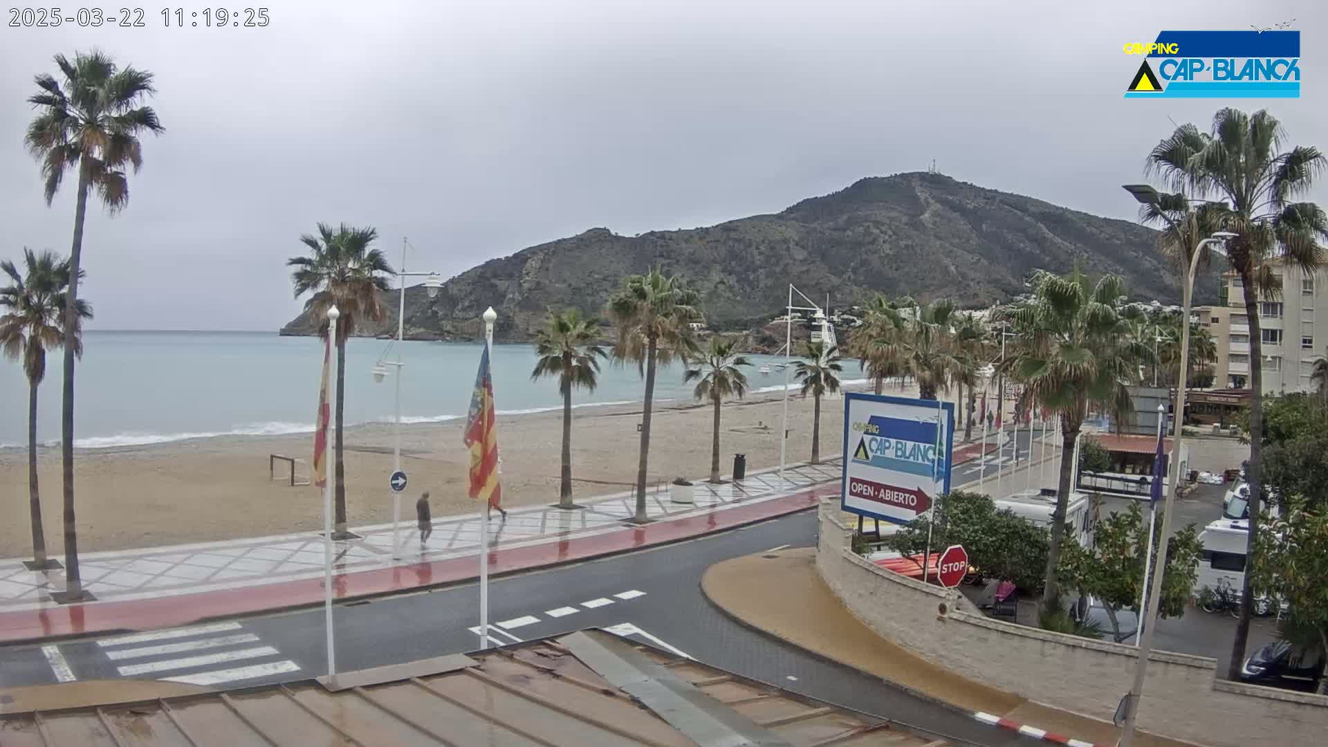 A sandy beach with palm trees lines a paved walkway next to a calm, blue ocean under an overcast sky, with a large mountain in the background.