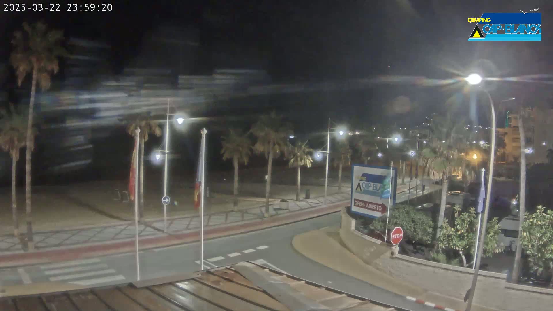 A nighttime view of a palm tree-lined beachside road with a mostly clear sky and light wind.