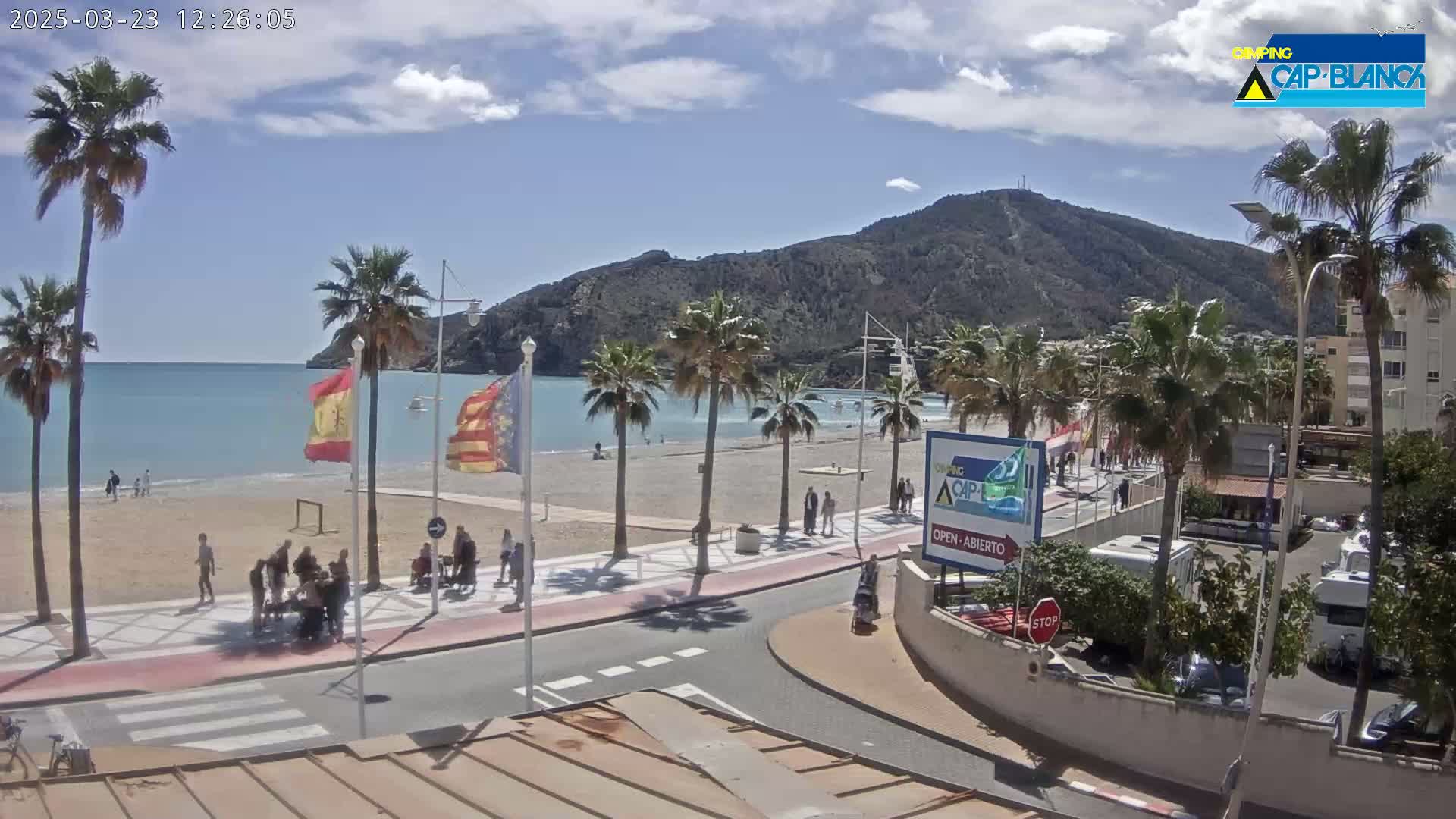 A sandy beach with palm trees lines a paved walkway next to a calm ocean under a mostly sunny sky, with a large mountain in the background.