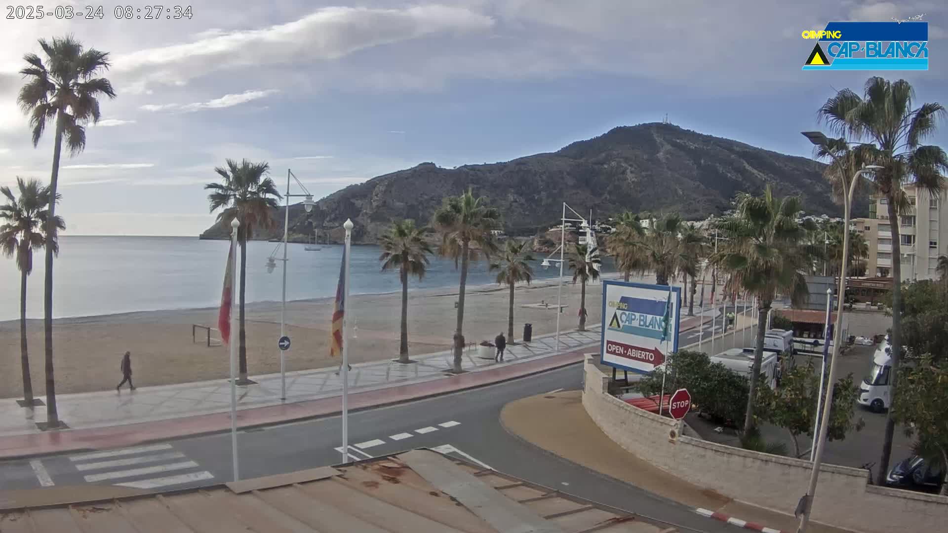 A beachside promenade with palm trees, a sandy beach, calm ocean water, and a mountain in the background under a partly cloudy sky.