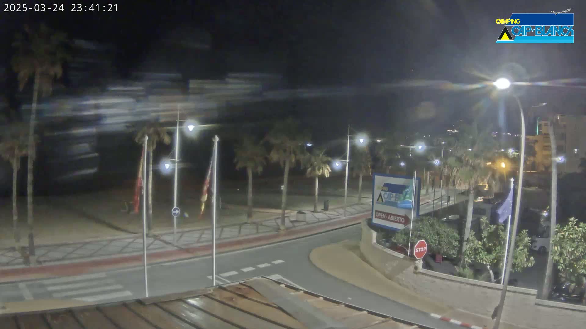 A nighttime, windy scene shows a palm-tree-lined road curving toward a beach, with streetlights illuminating the area.