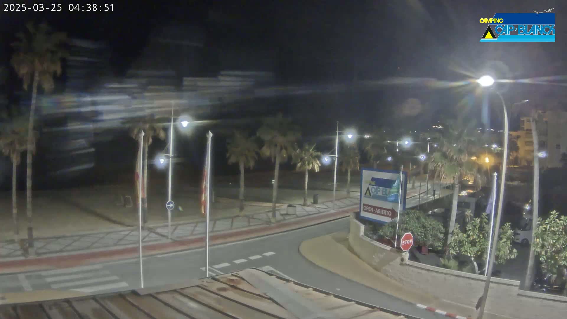 A nighttime beachfront scene with palm trees lining a paved road, under windy conditions.