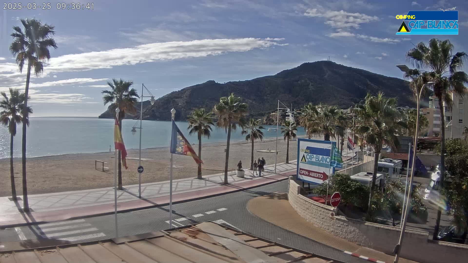 A sandy beach with palm trees lines a paved walkway next to a calm bay, under a partly cloudy sky, with a large mountain in the background.